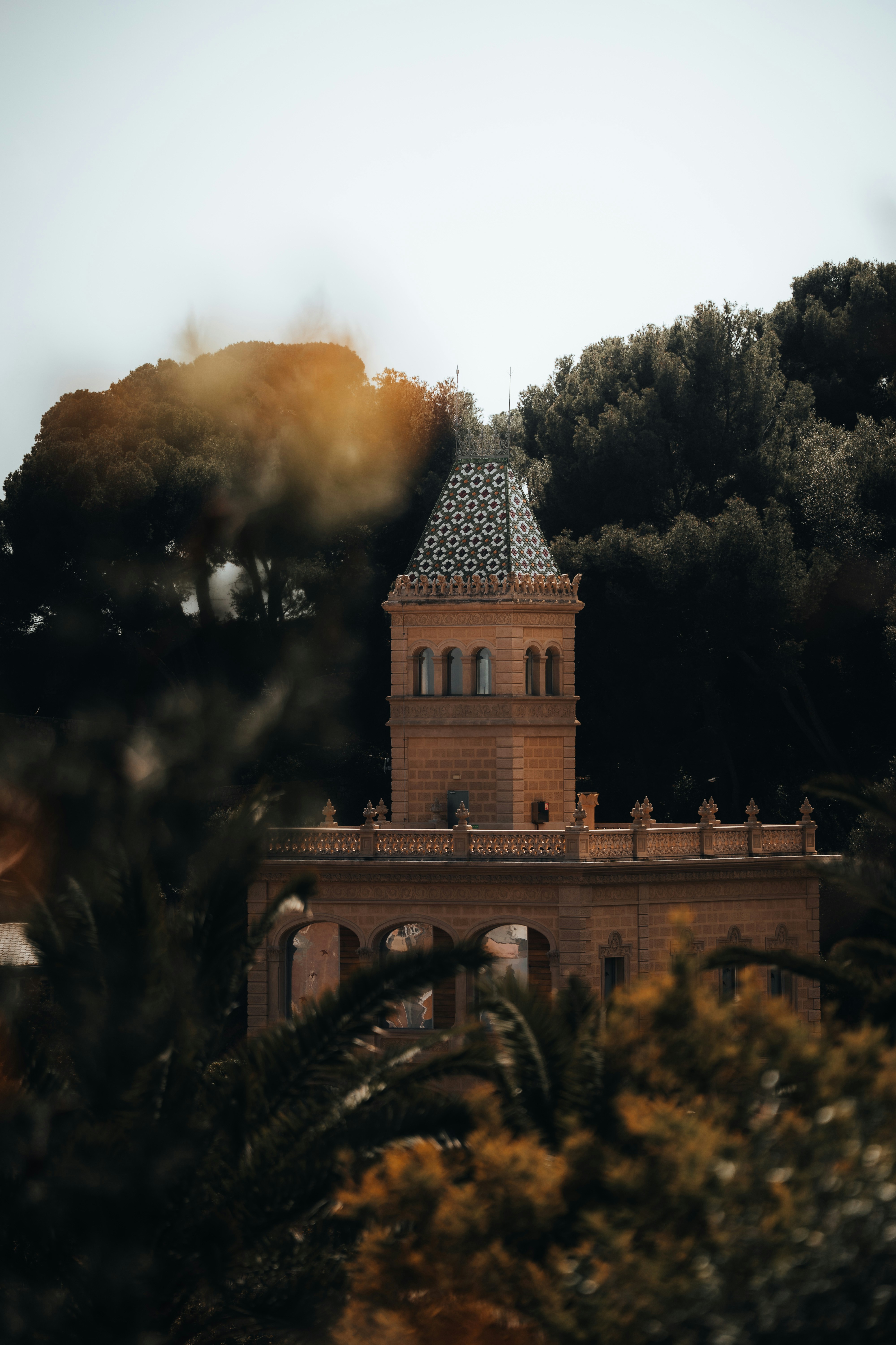 Photo by androwv