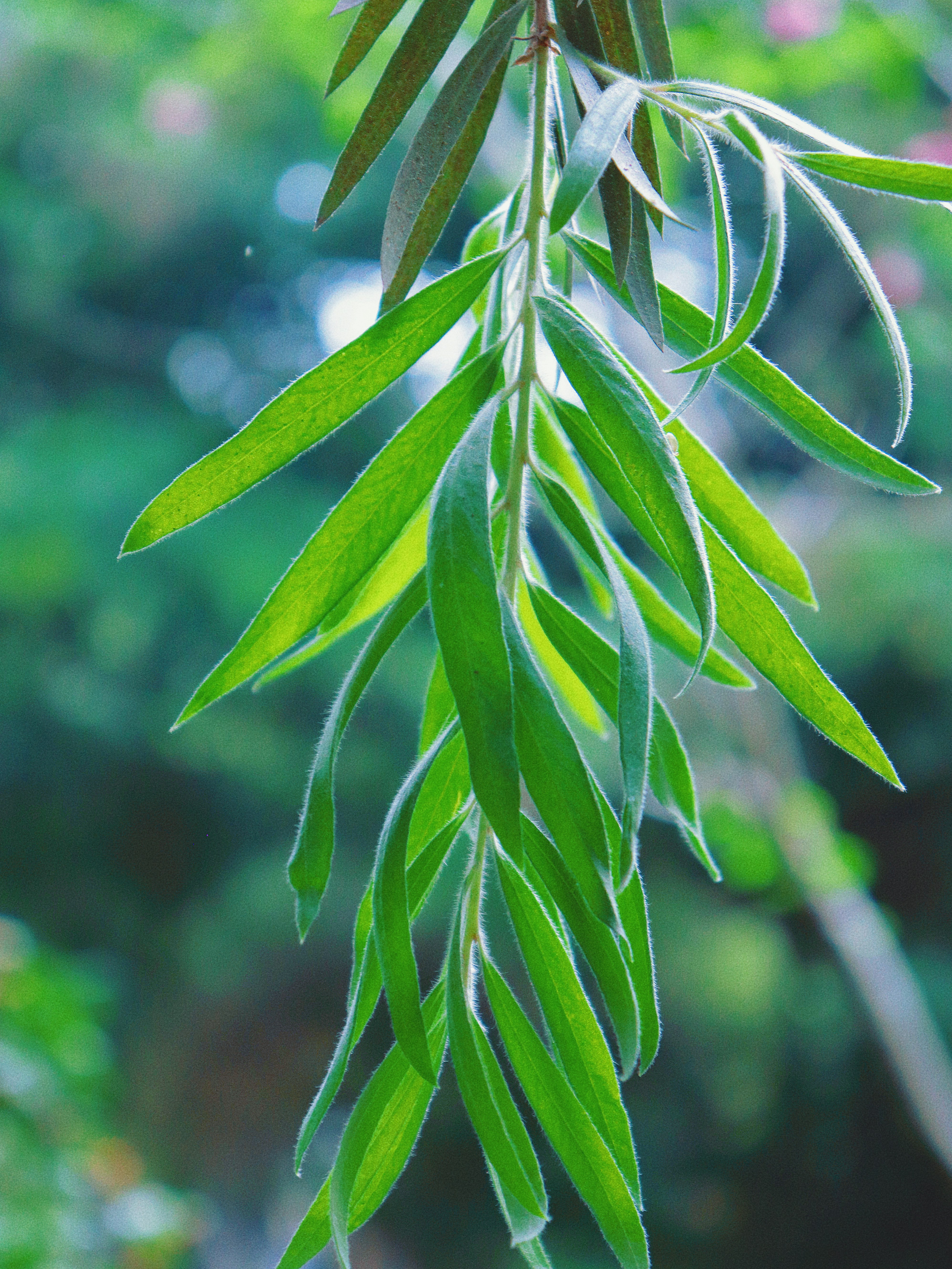 Photo by jizhidexiaohailang