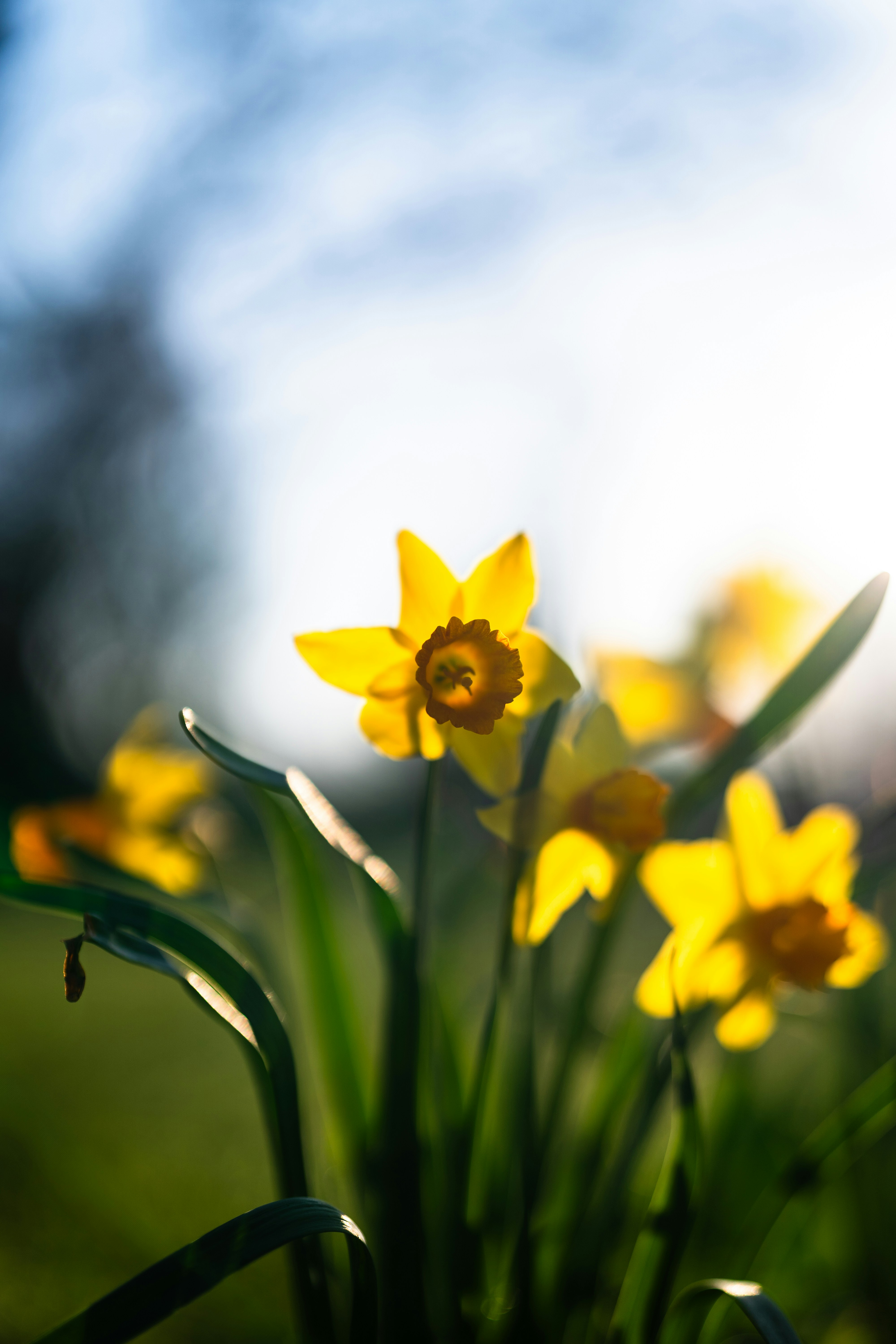 Photo by bangscreative