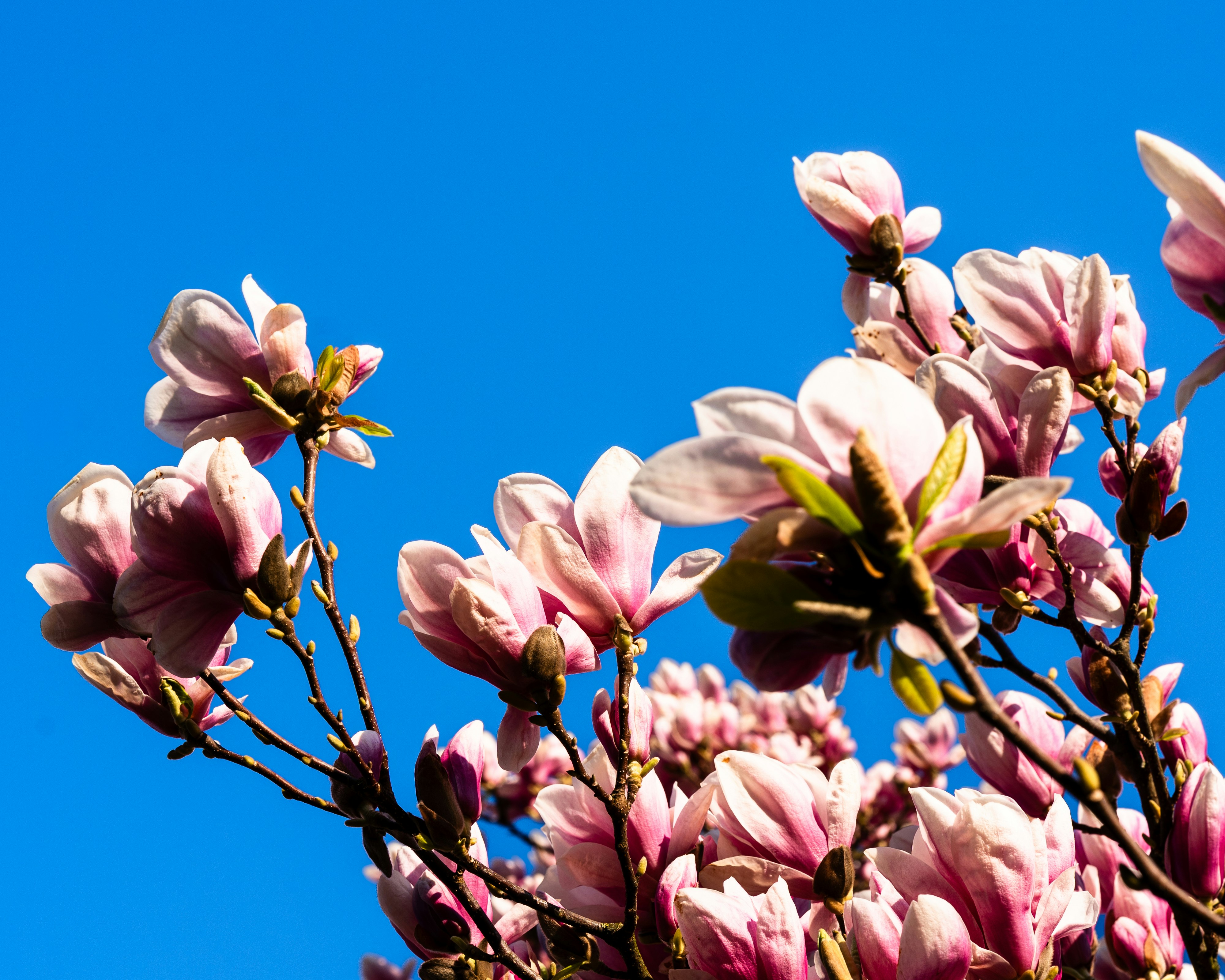 Photo by bangscreative