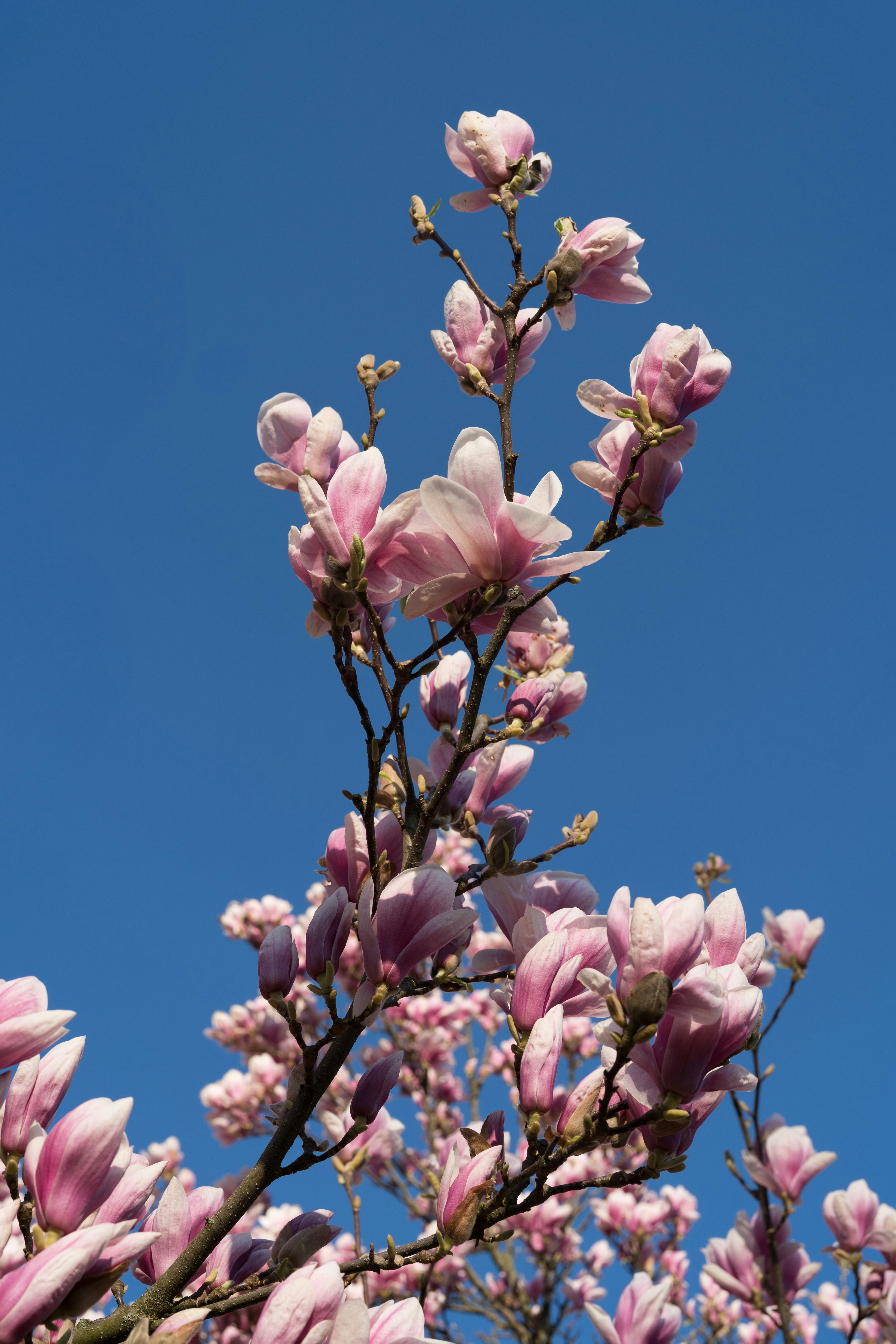 Photo by bangscreative