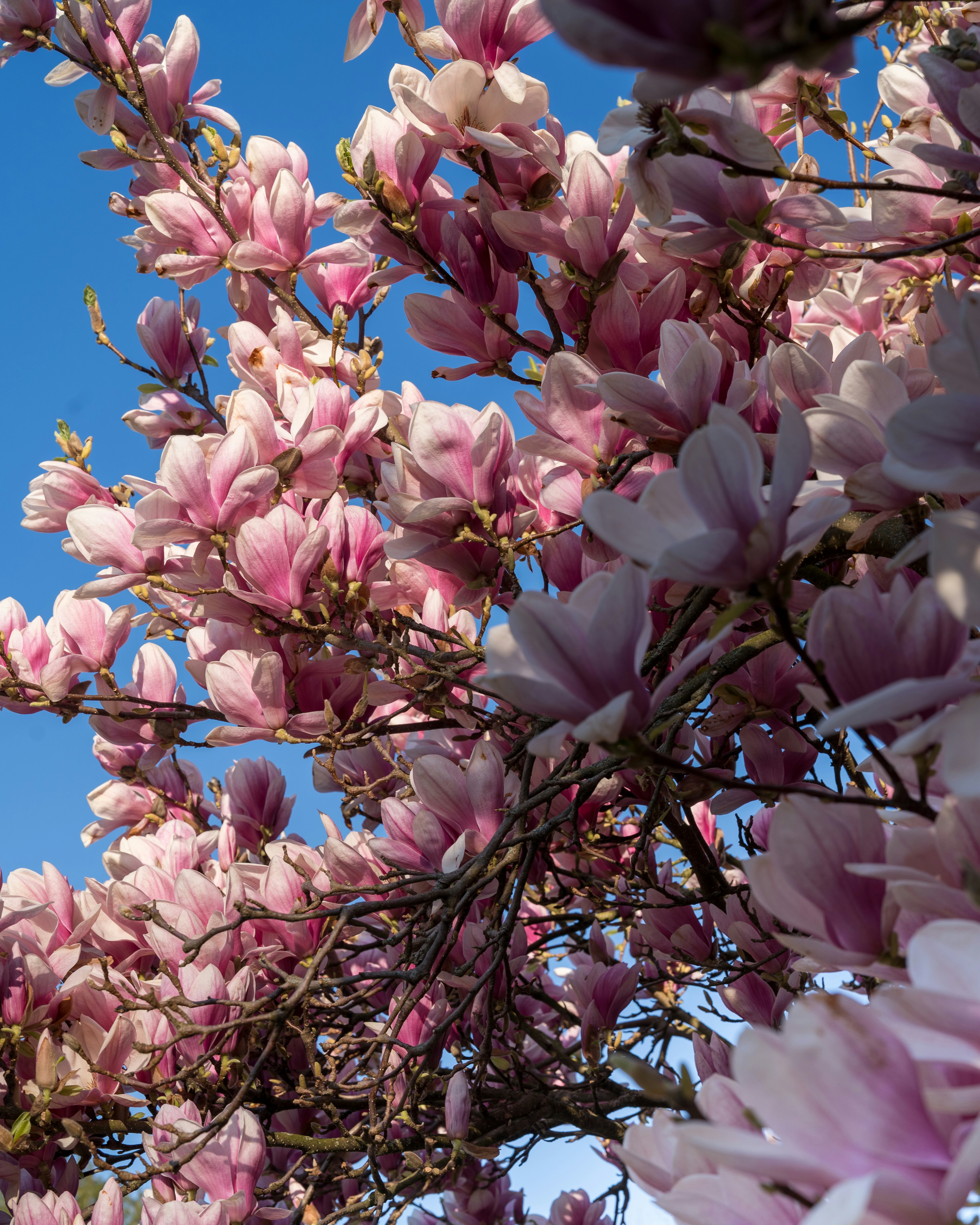 Photo by bangscreative