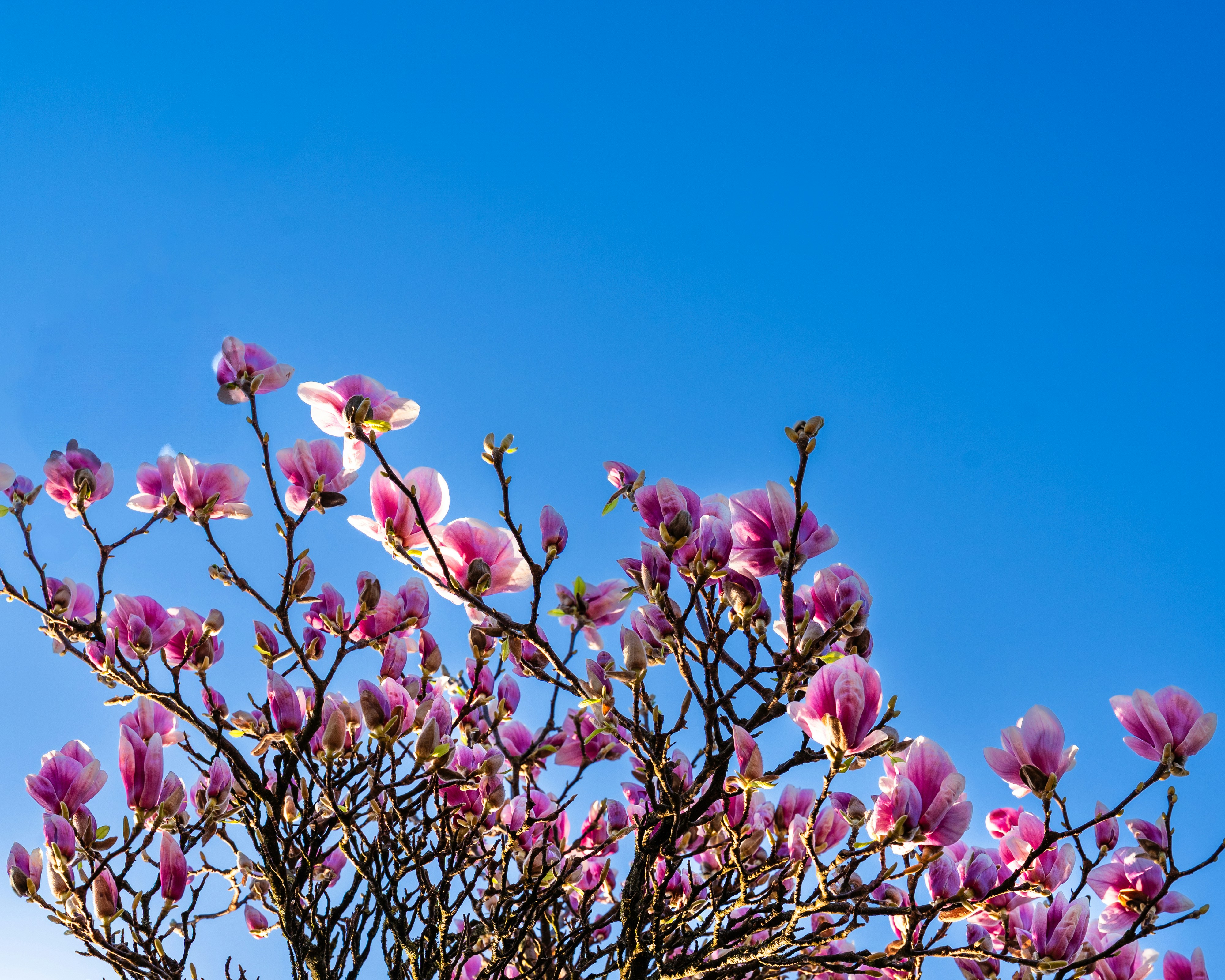 Photo by bangscreative