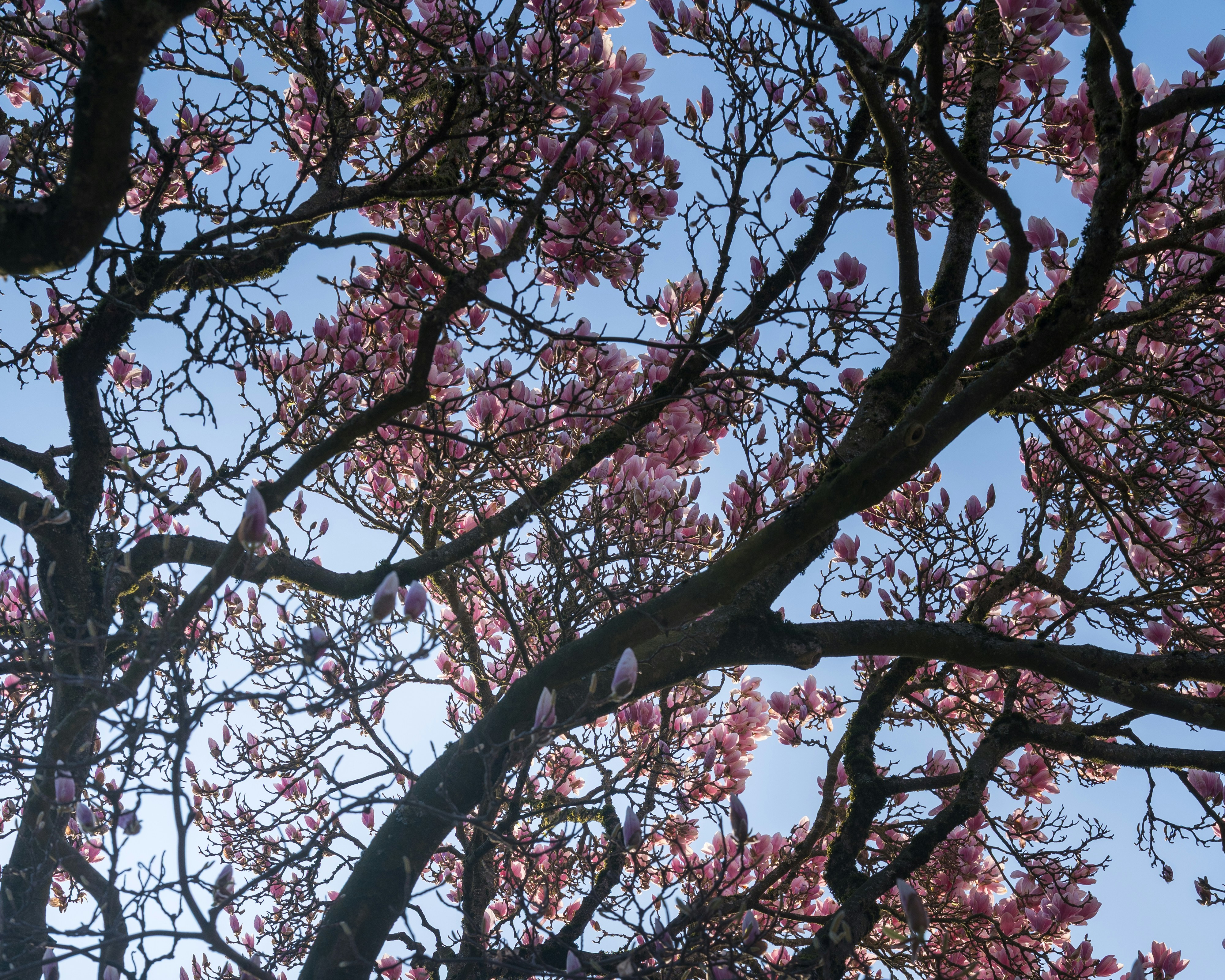 Photo by bangscreative