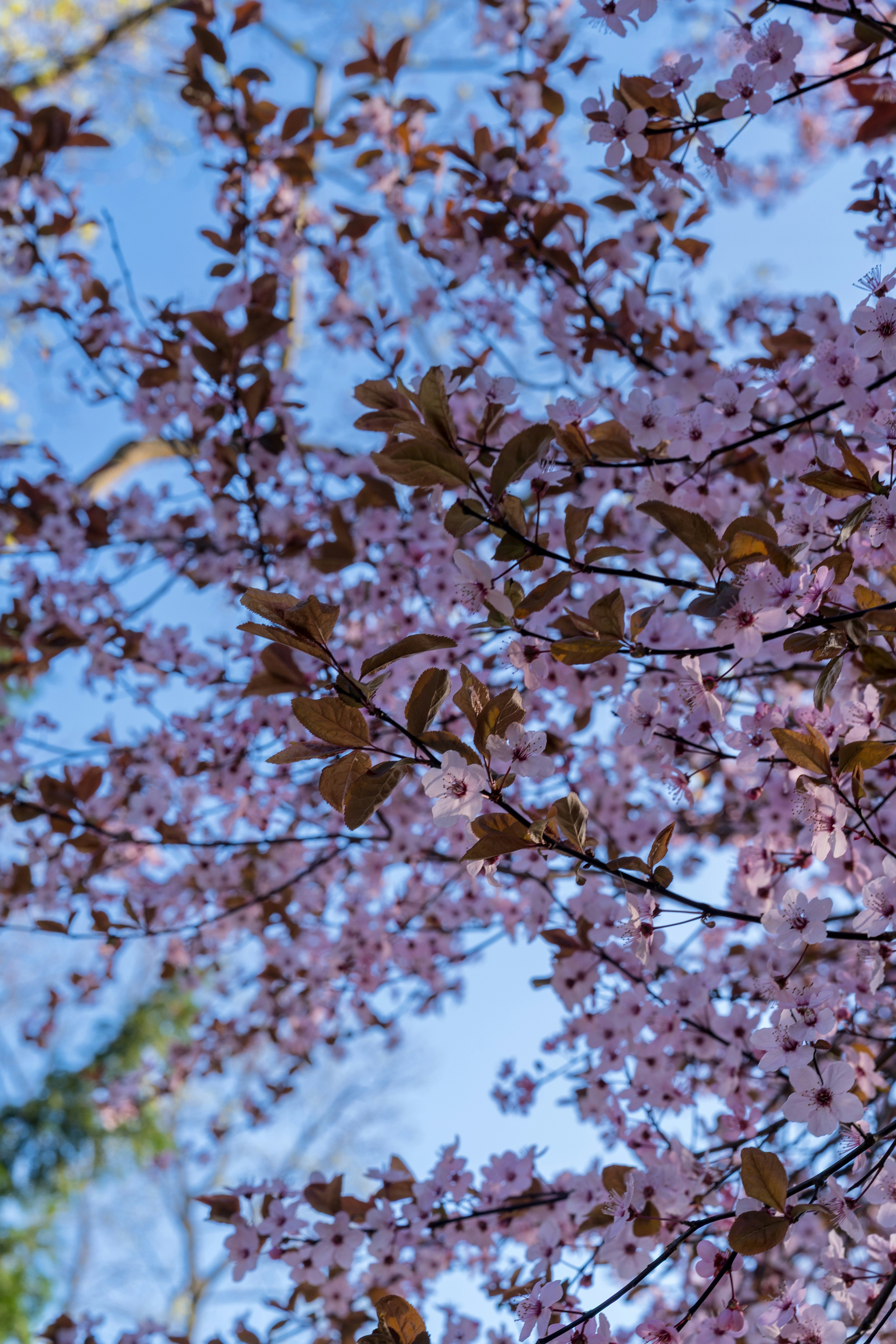 Photo by bangscreative