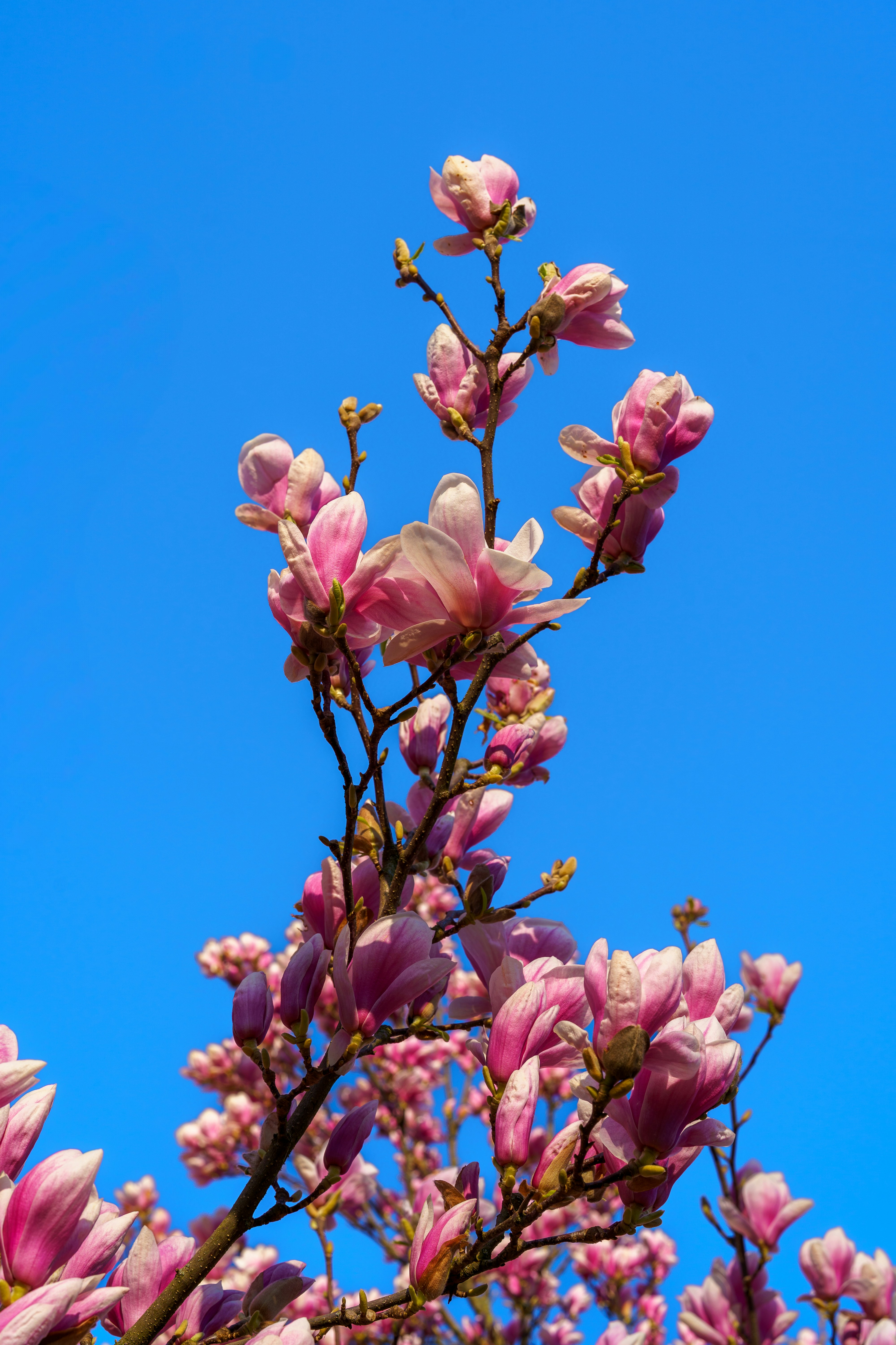 Photo by bangscreative