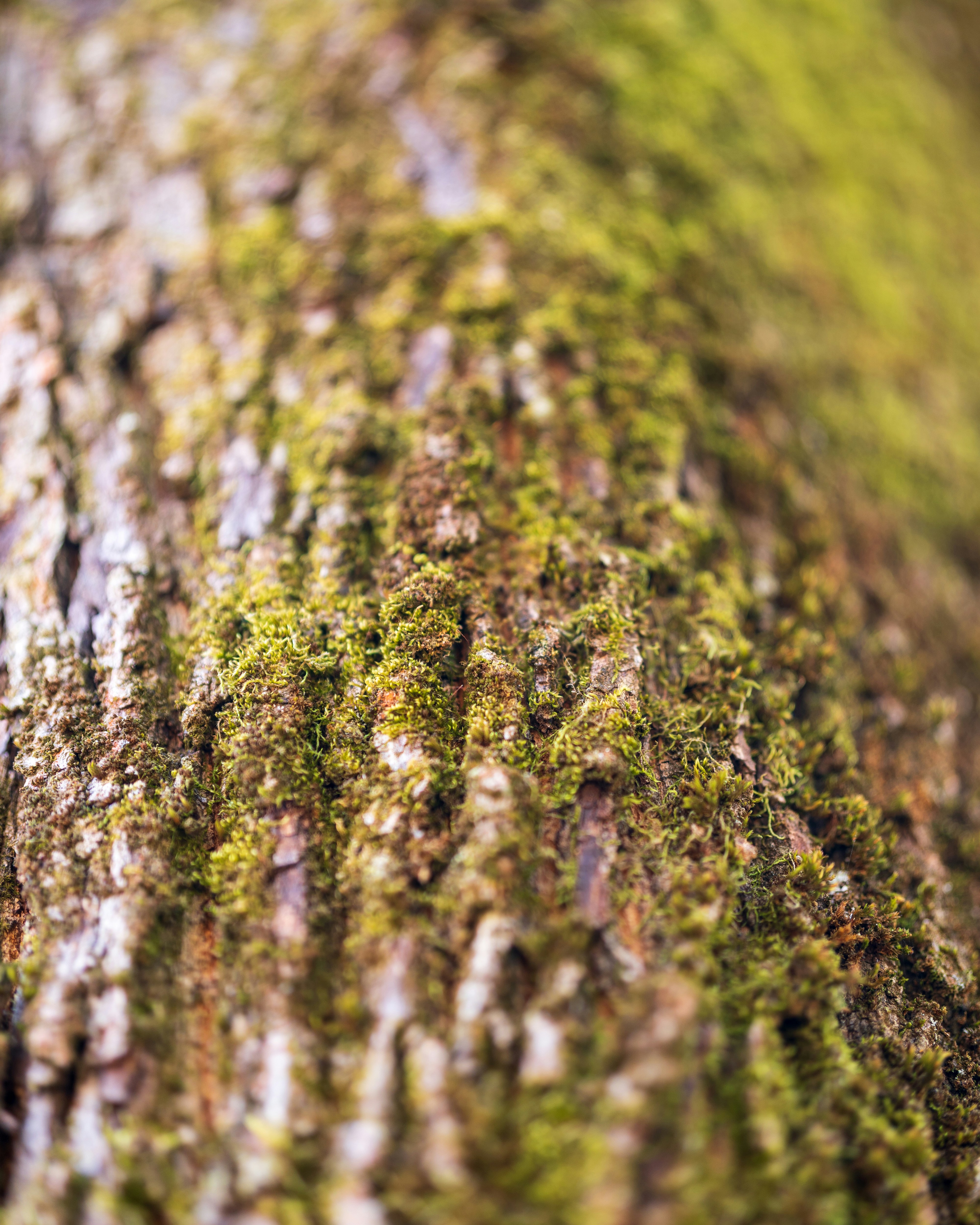 Photo by bangscreative