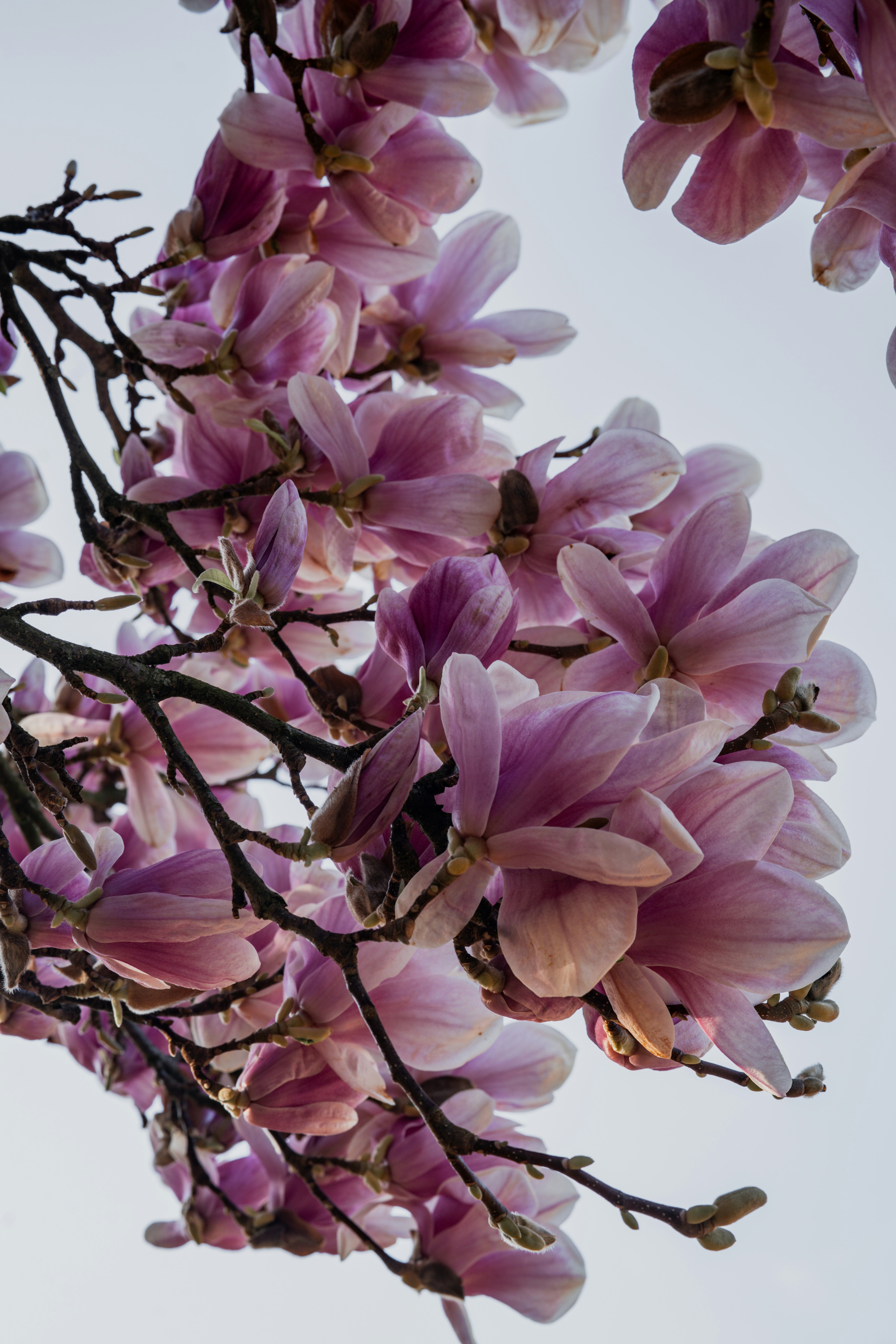 Photo by bangscreative