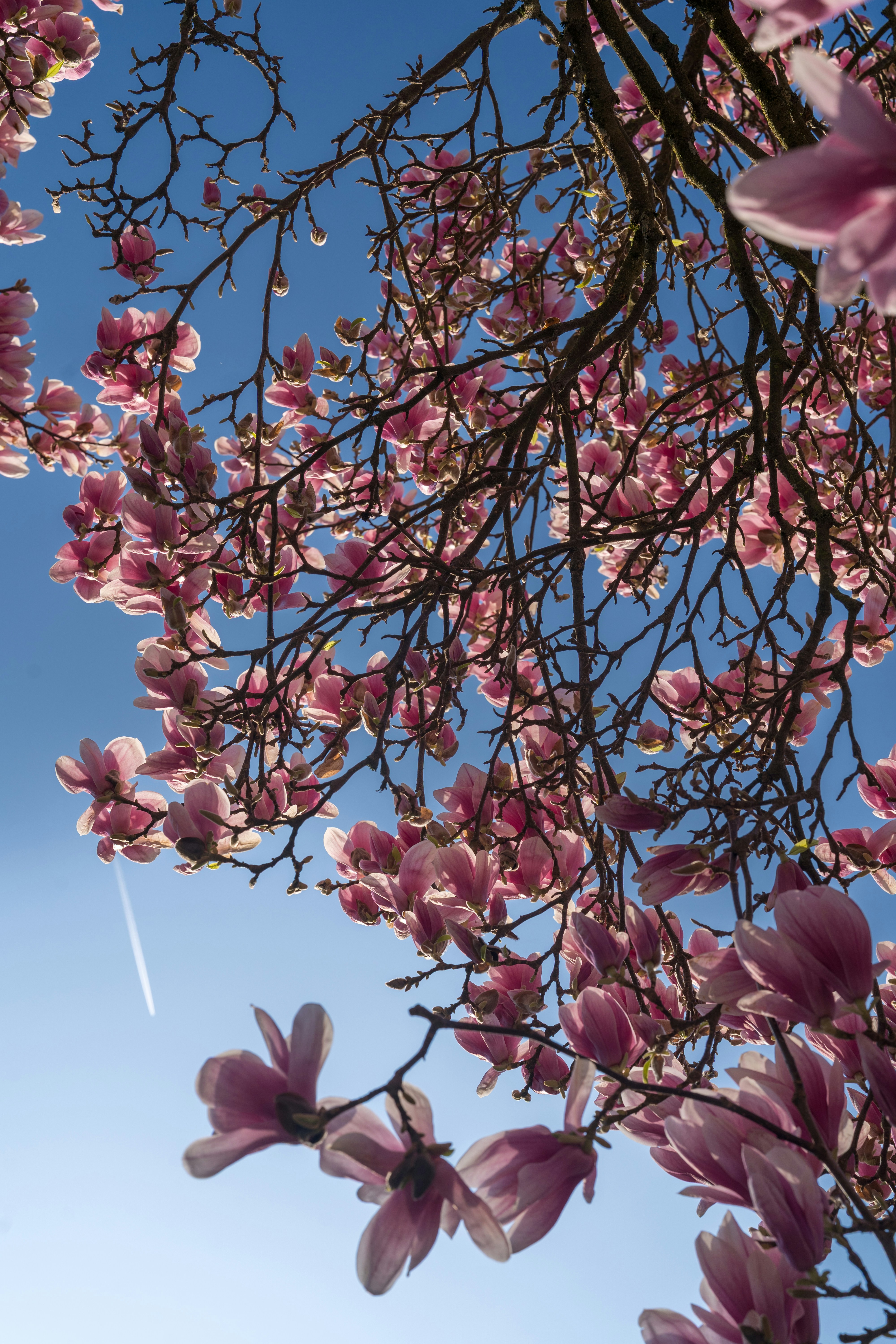 Photo by bangscreative