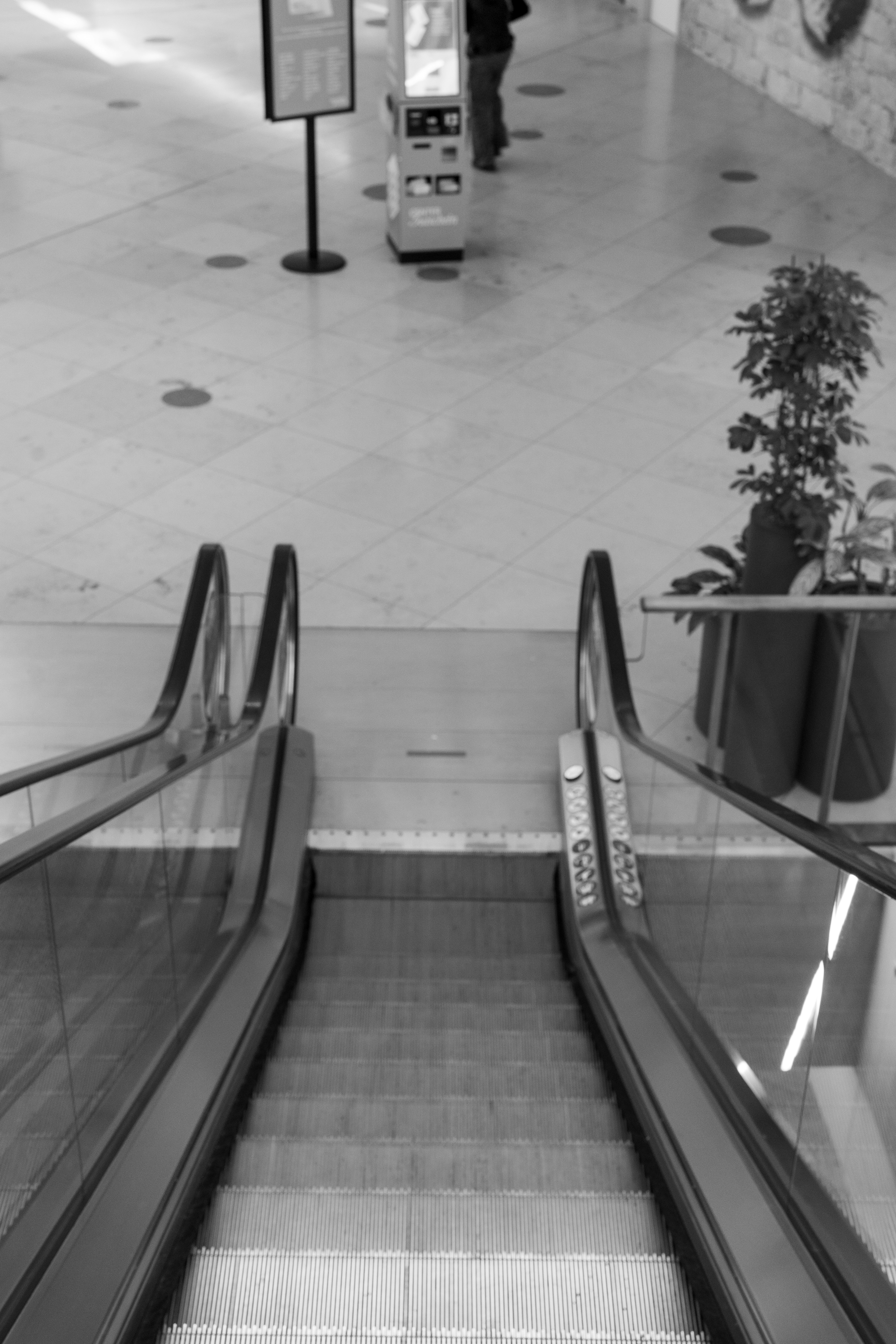 Photo by bangscreative