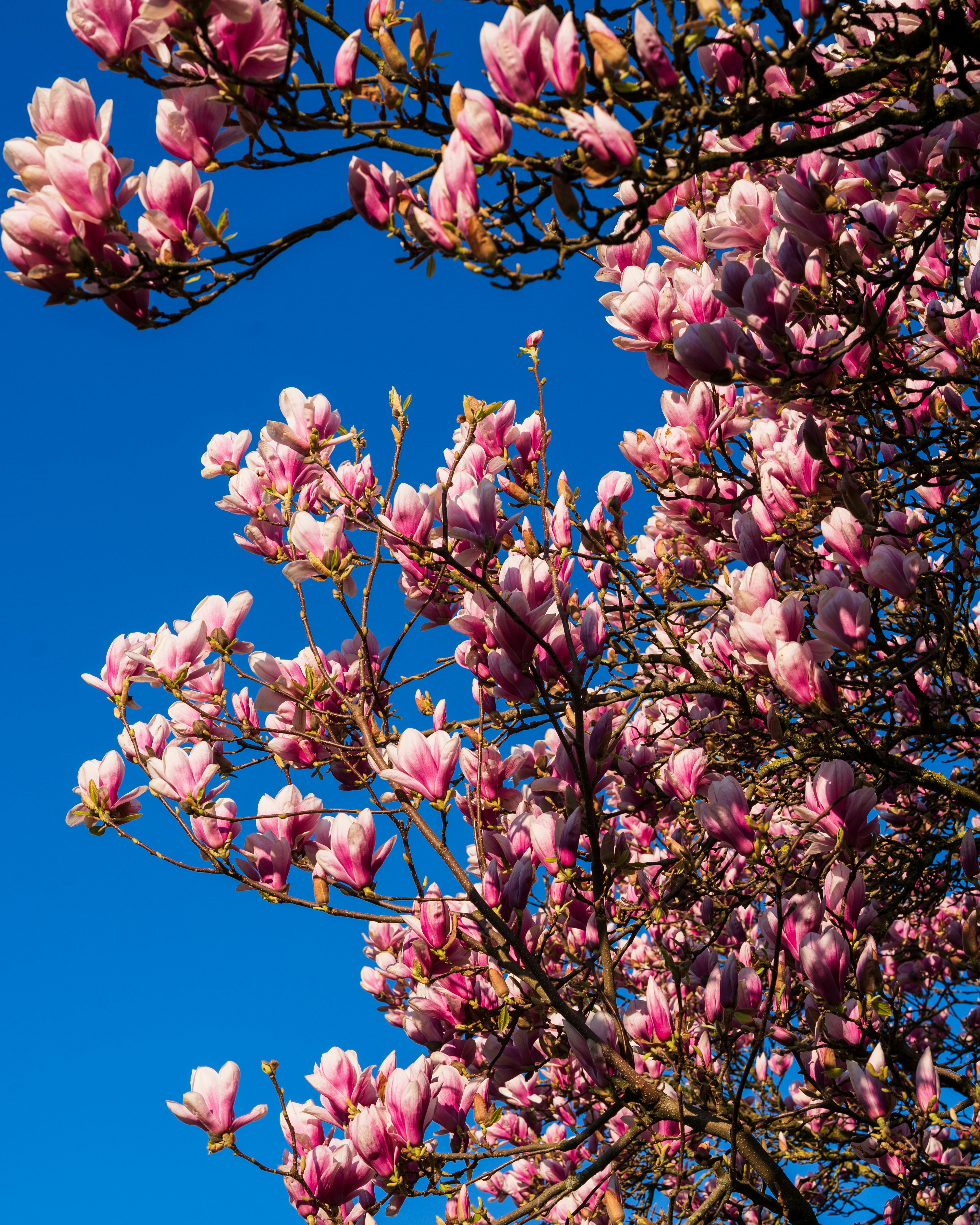 Photo by bangscreative