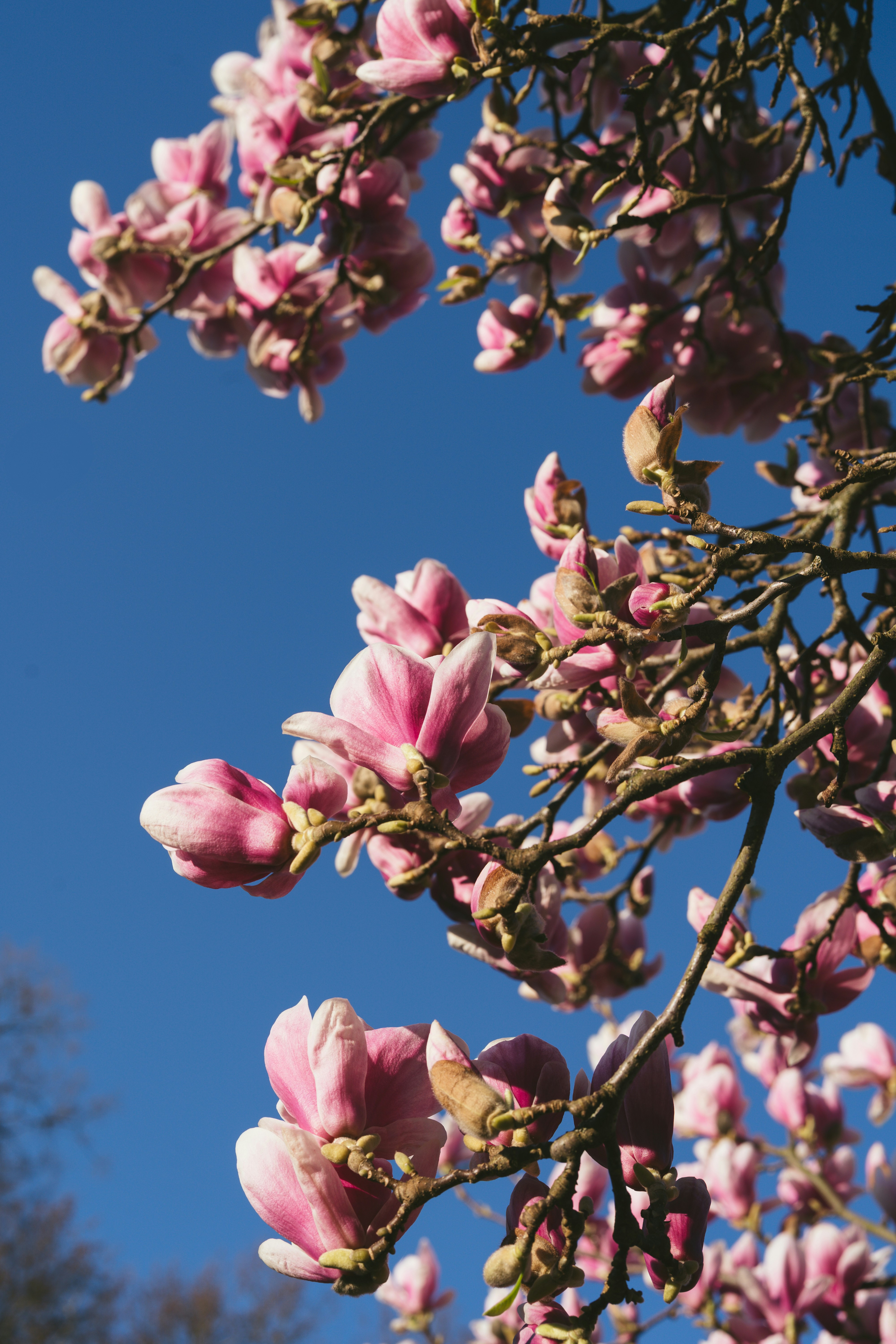 Photo by bangscreative