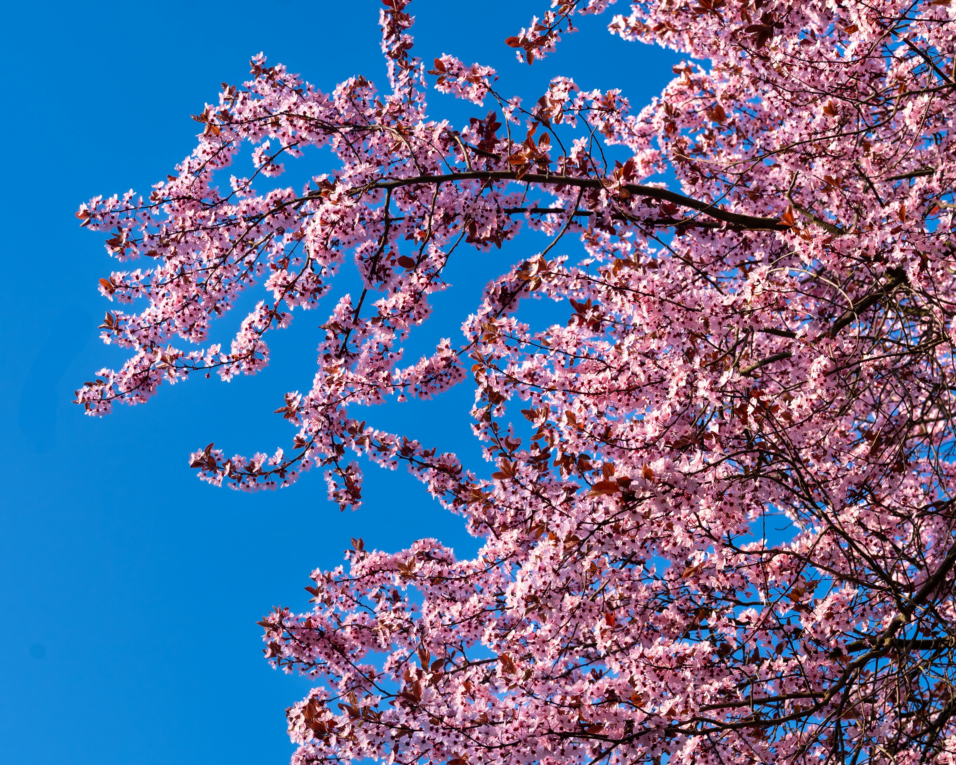 Photo by bangscreative