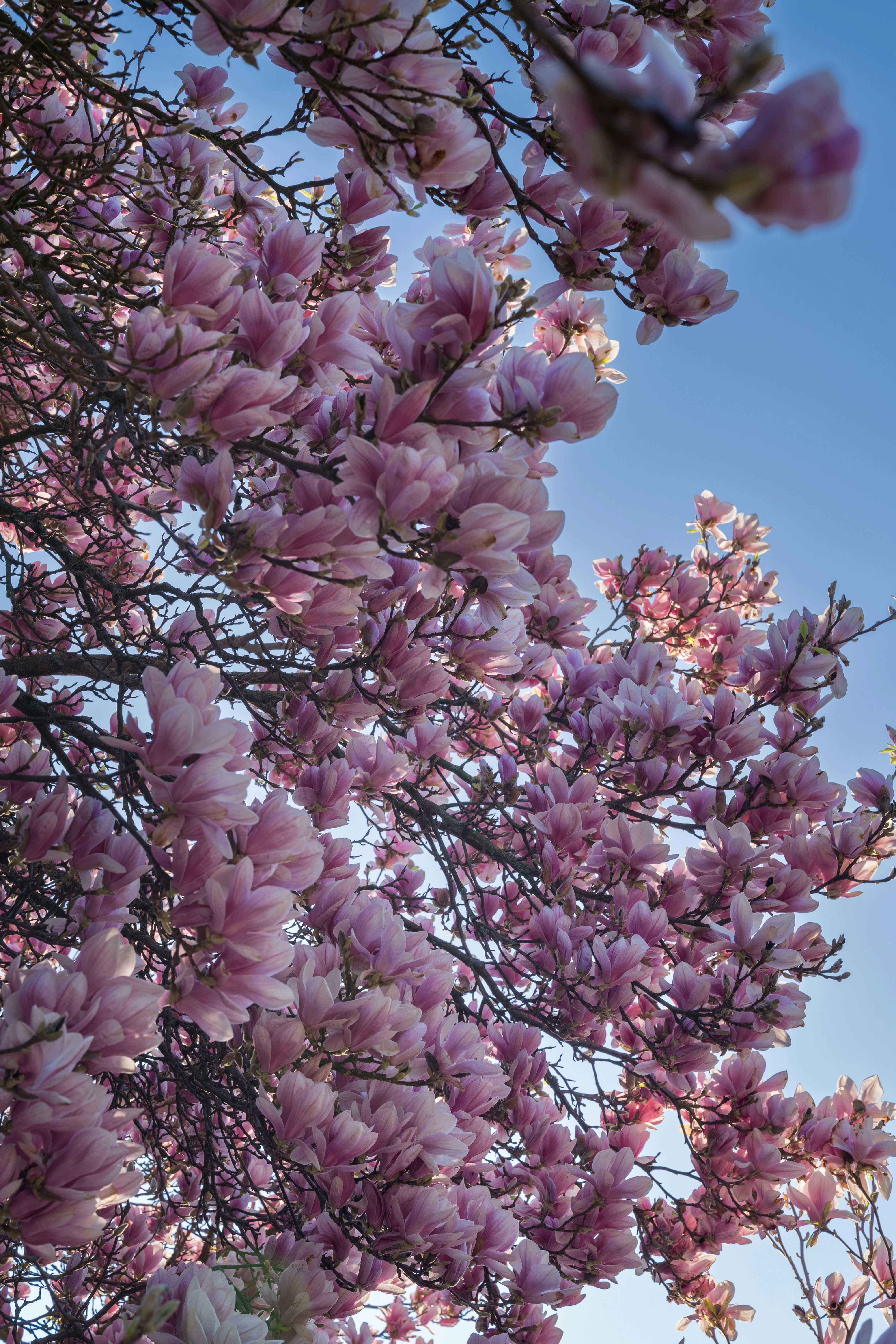 Photo by bangscreative