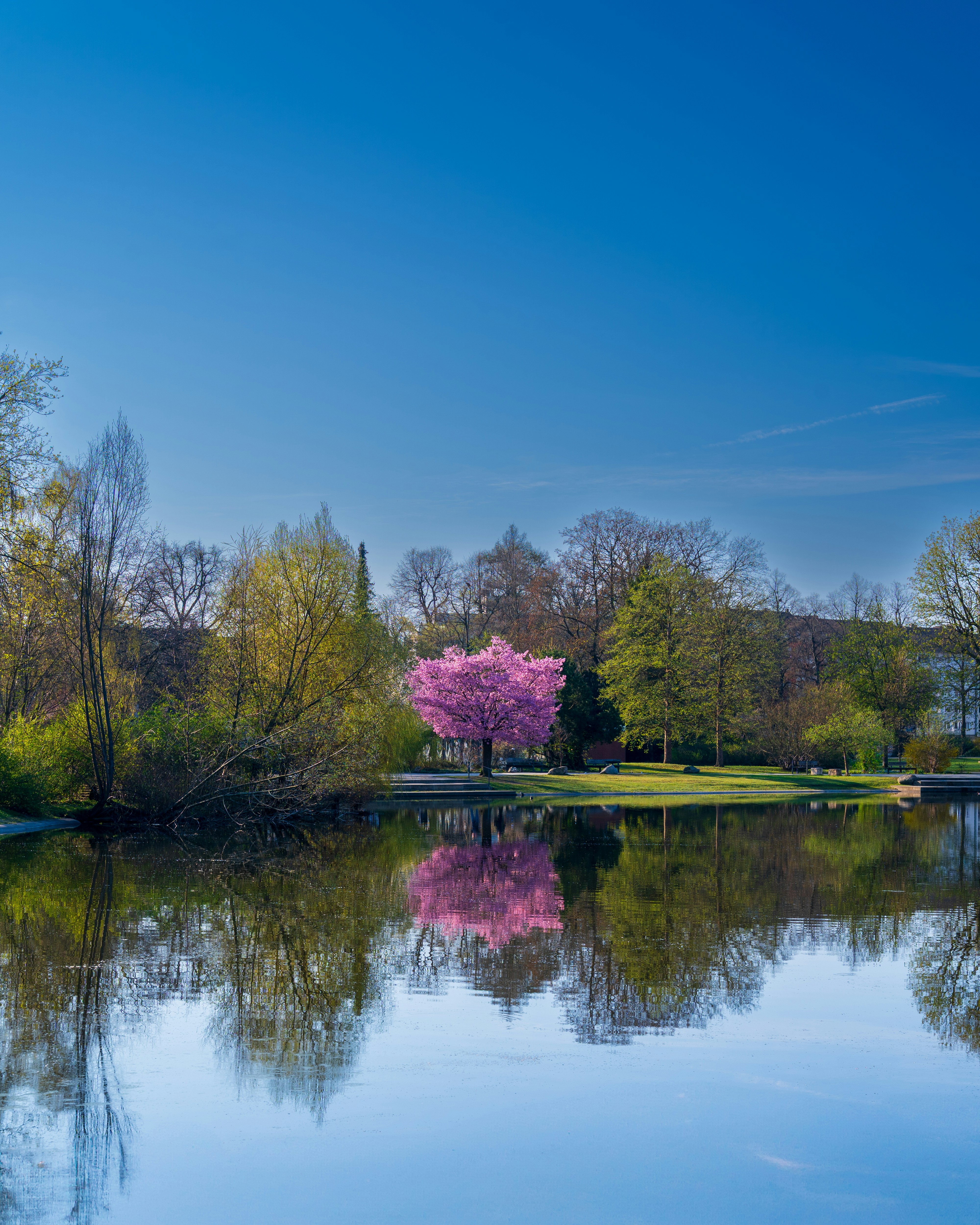 Photo by bangscreative