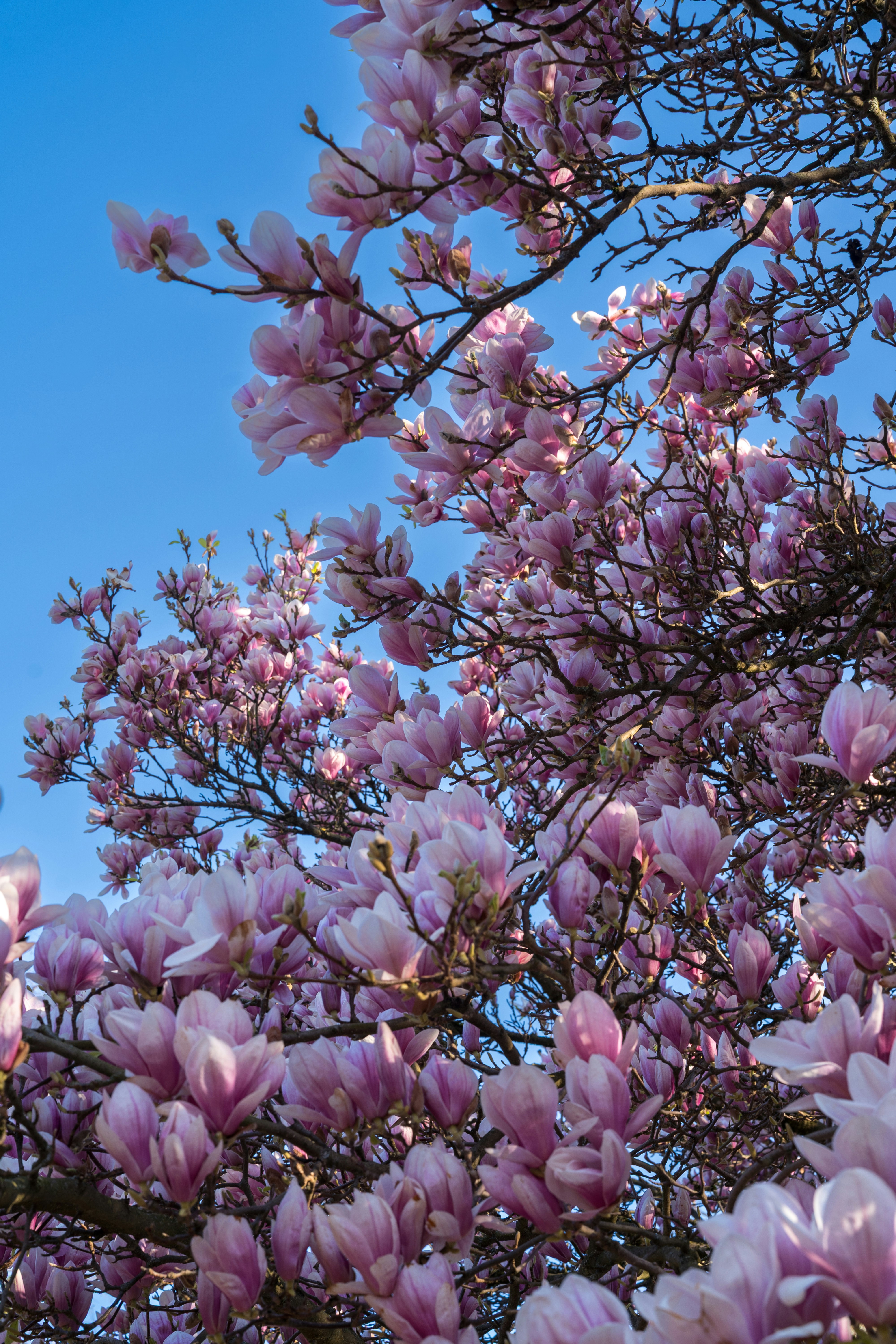 Photo by bangscreative