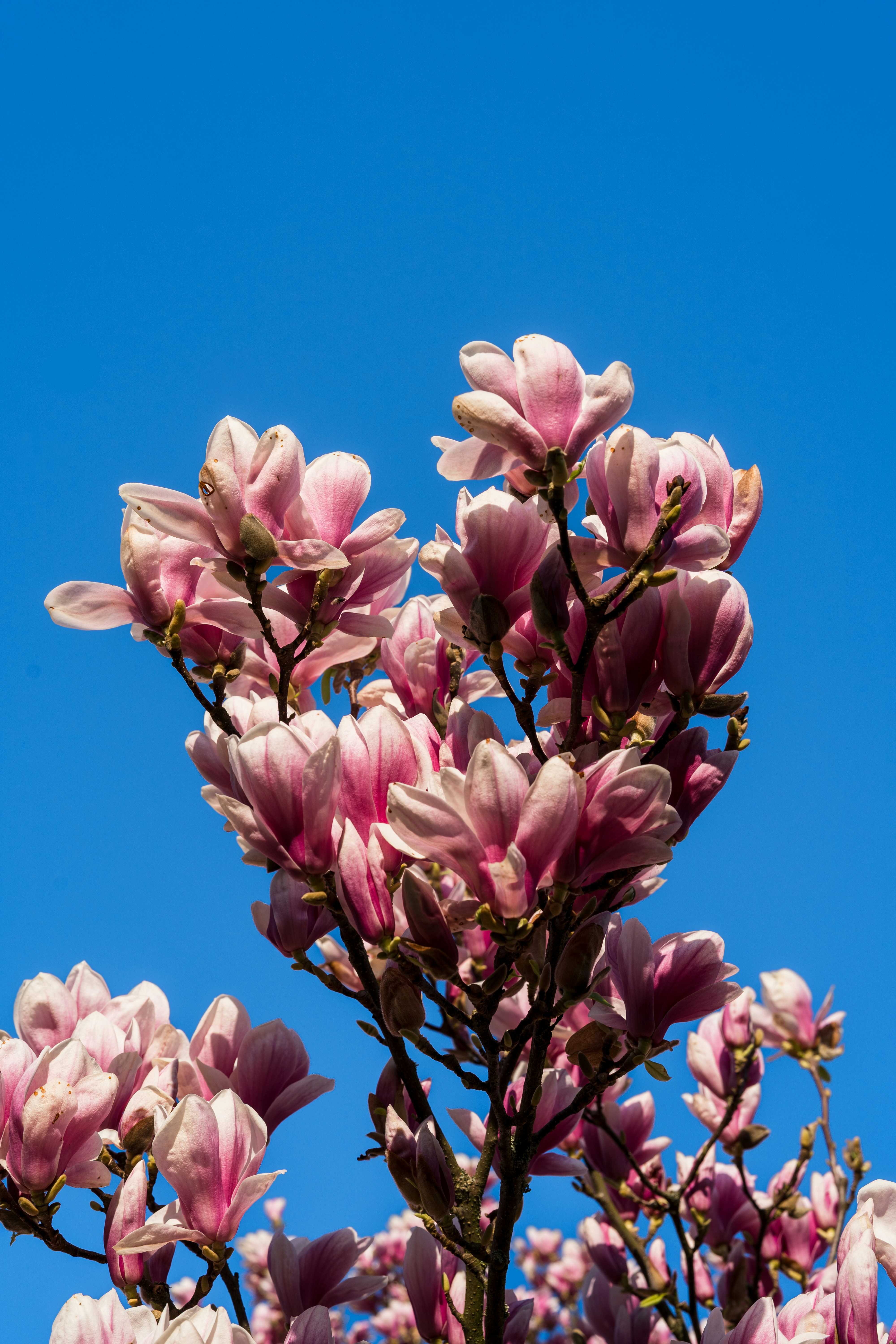 Photo by bangscreative