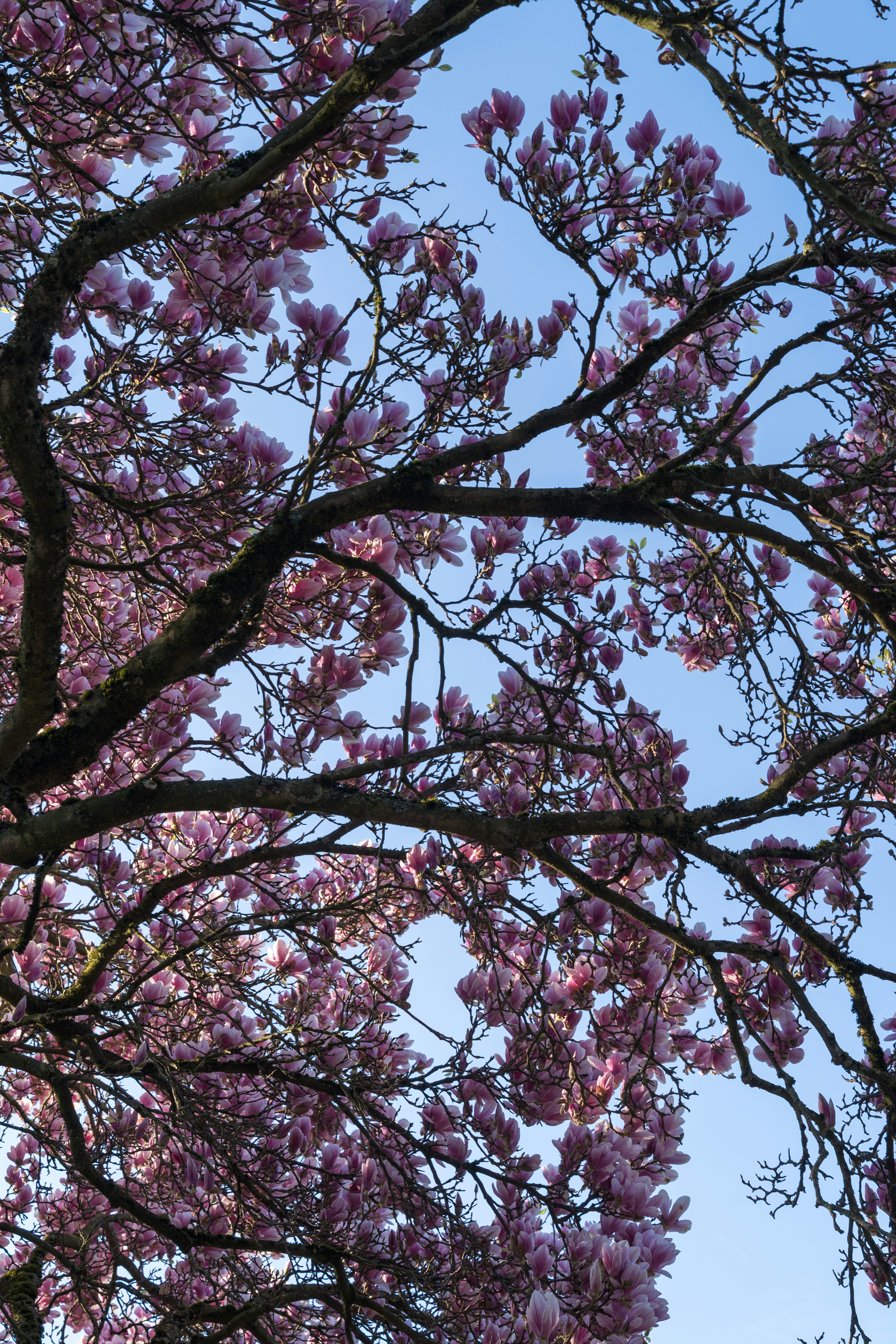 Photo by bangscreative