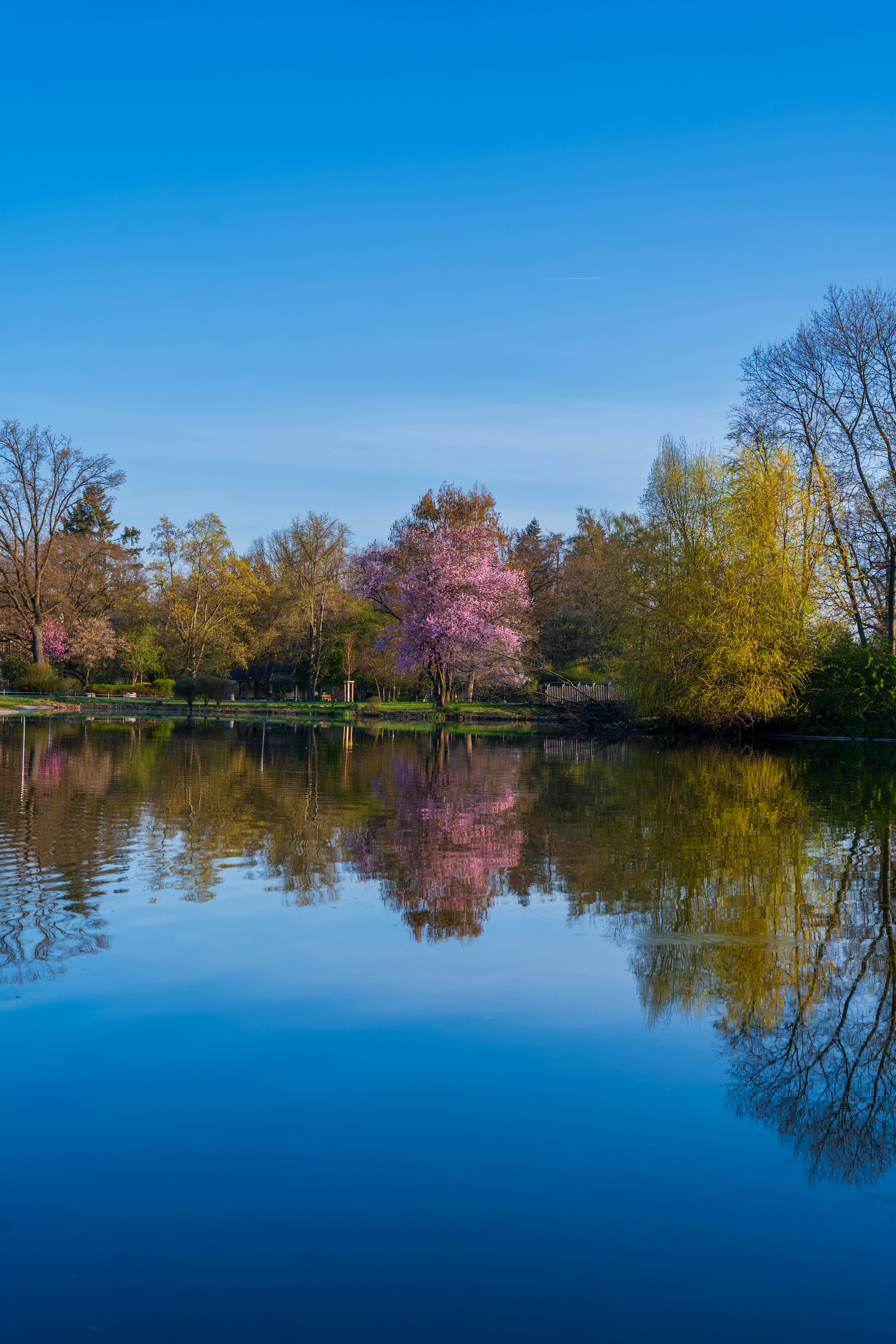 Photo by bangscreative