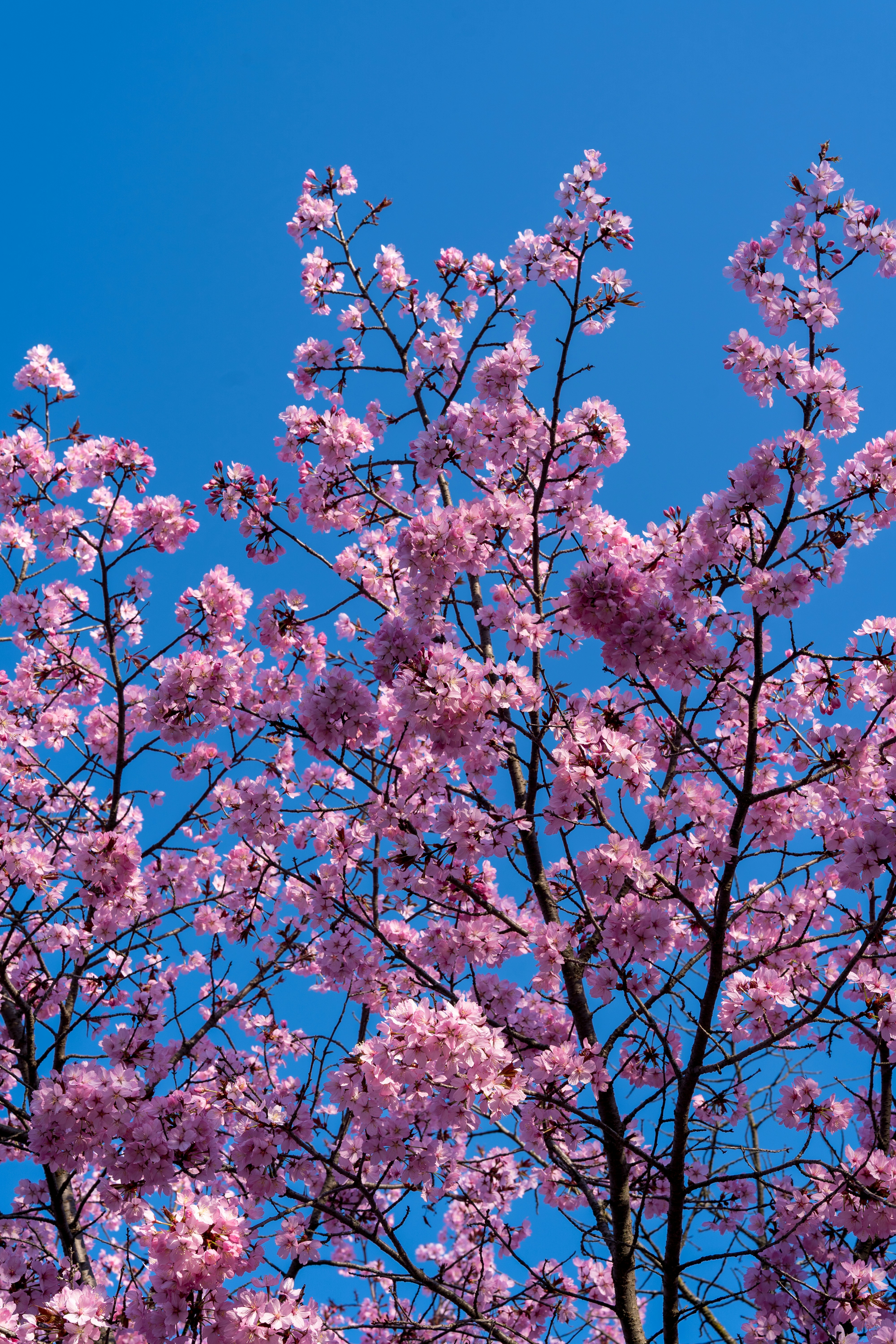 Photo by bangscreative