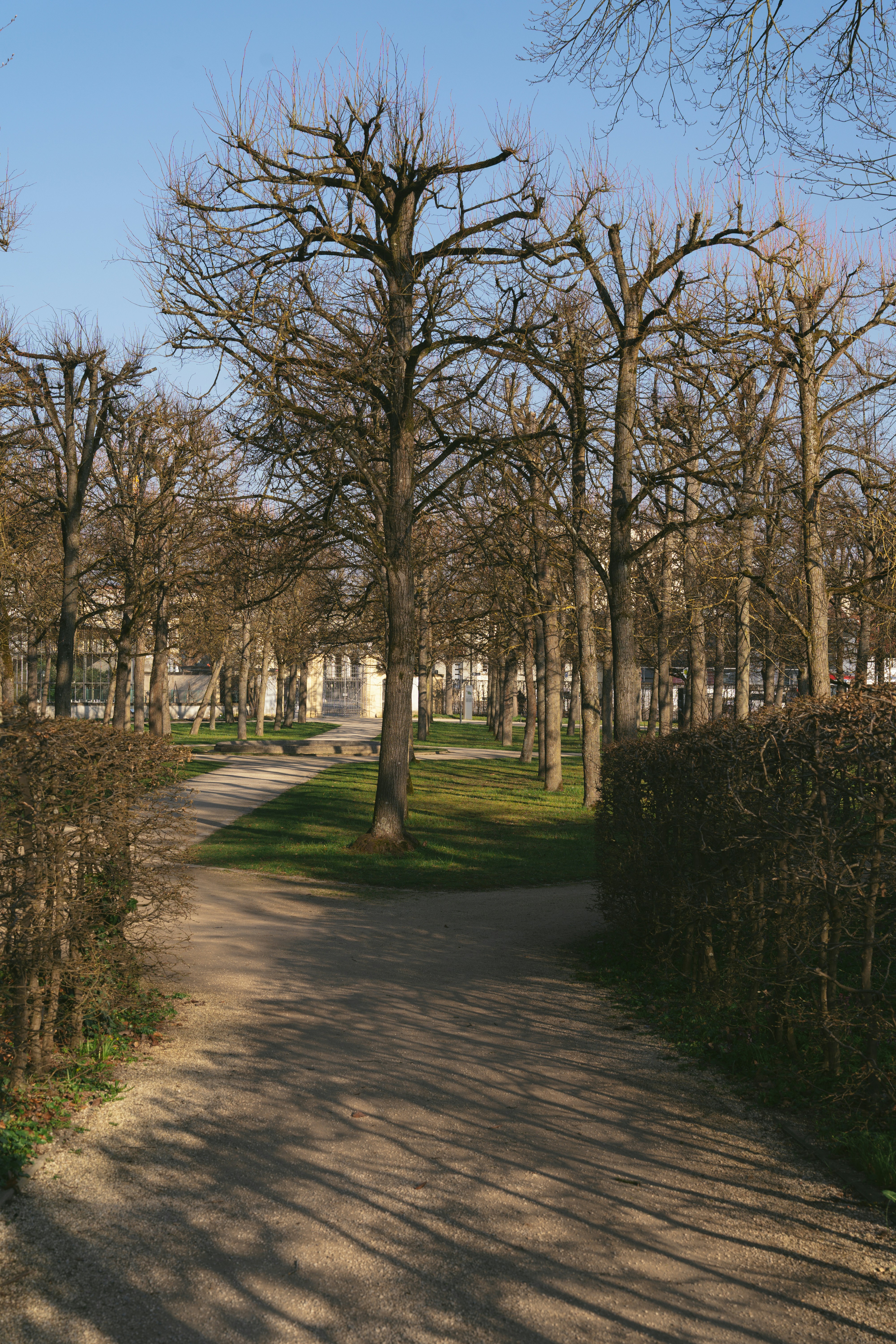 Photo by bangscreative