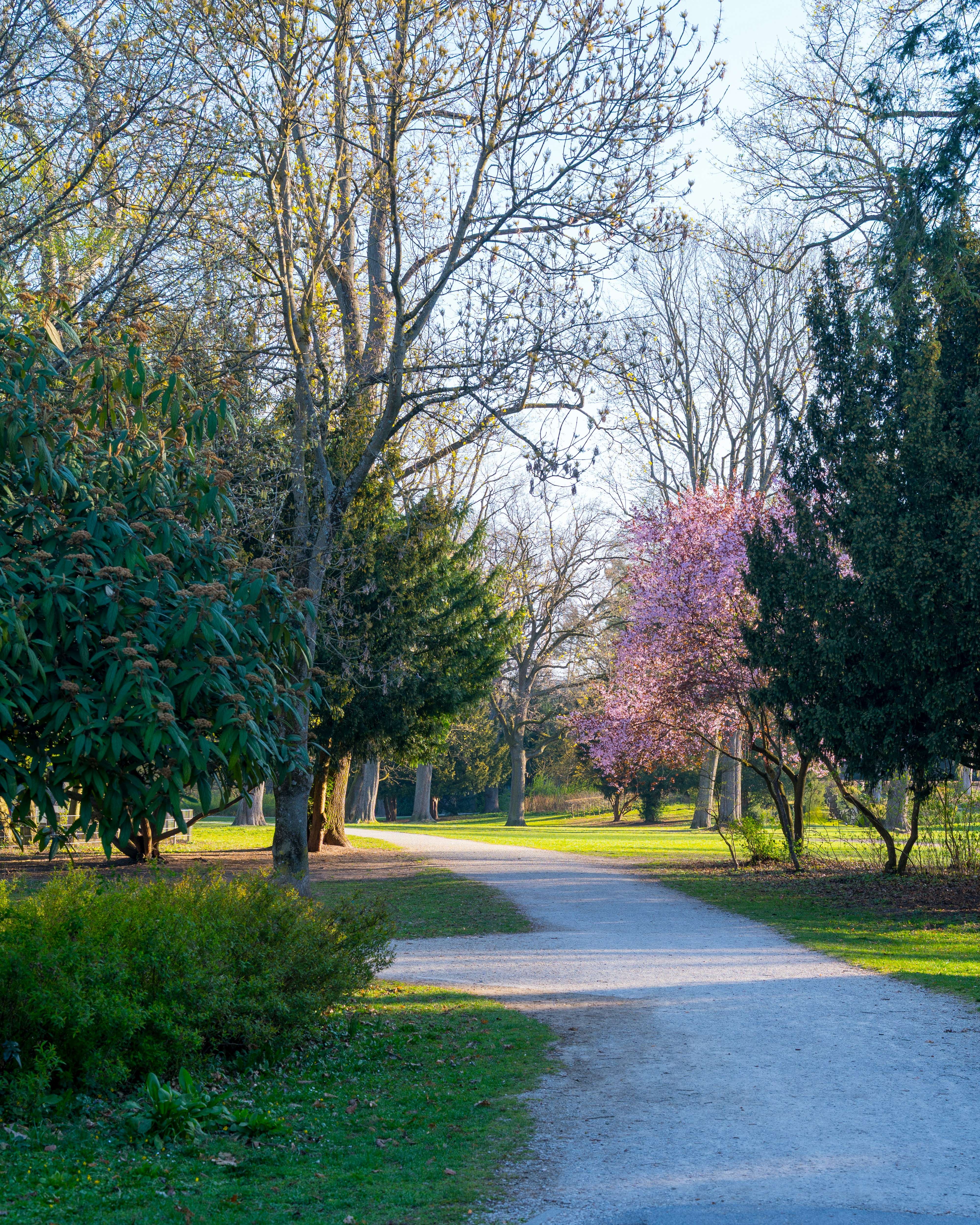 Photo by bangscreative