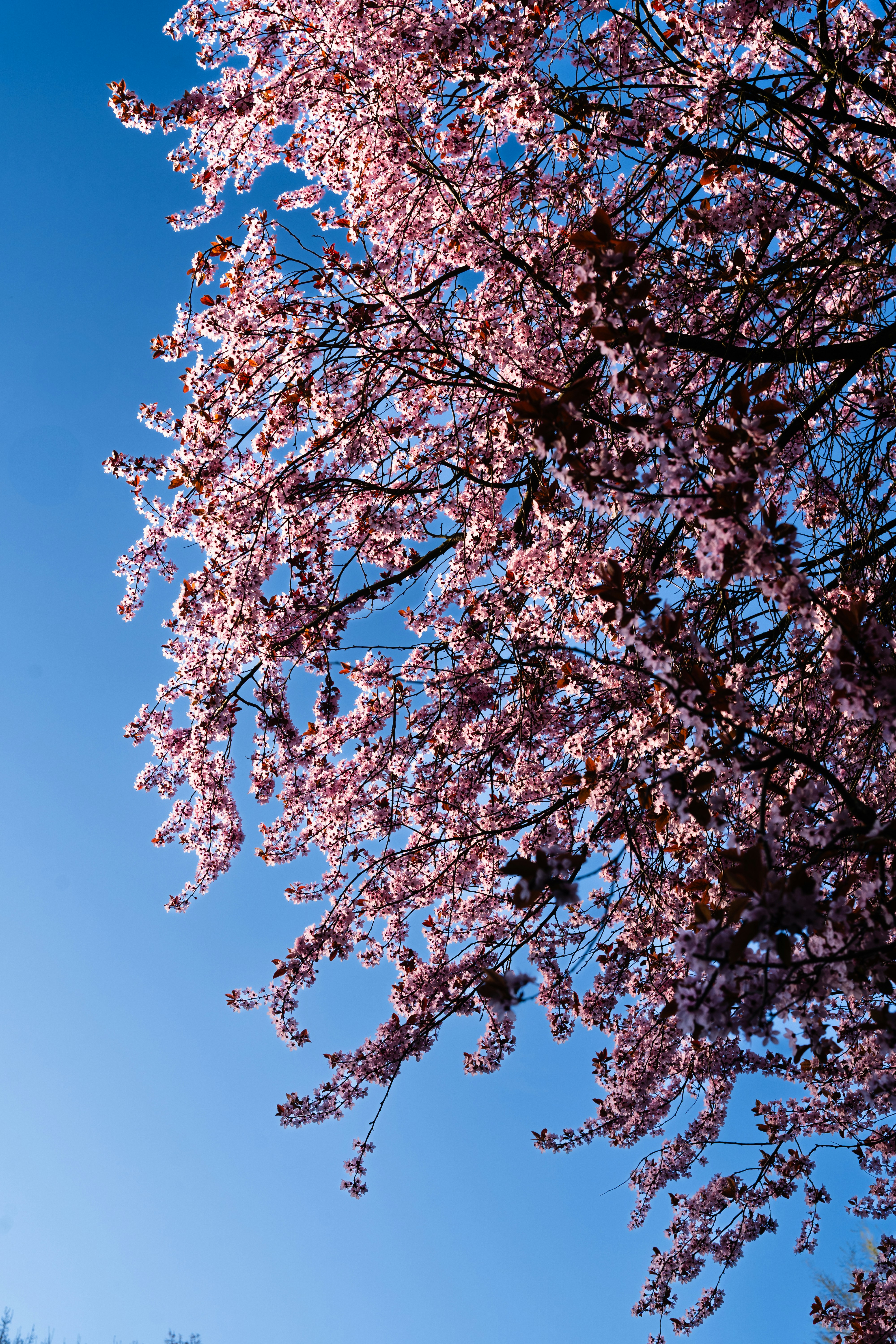 Photo by bangscreative