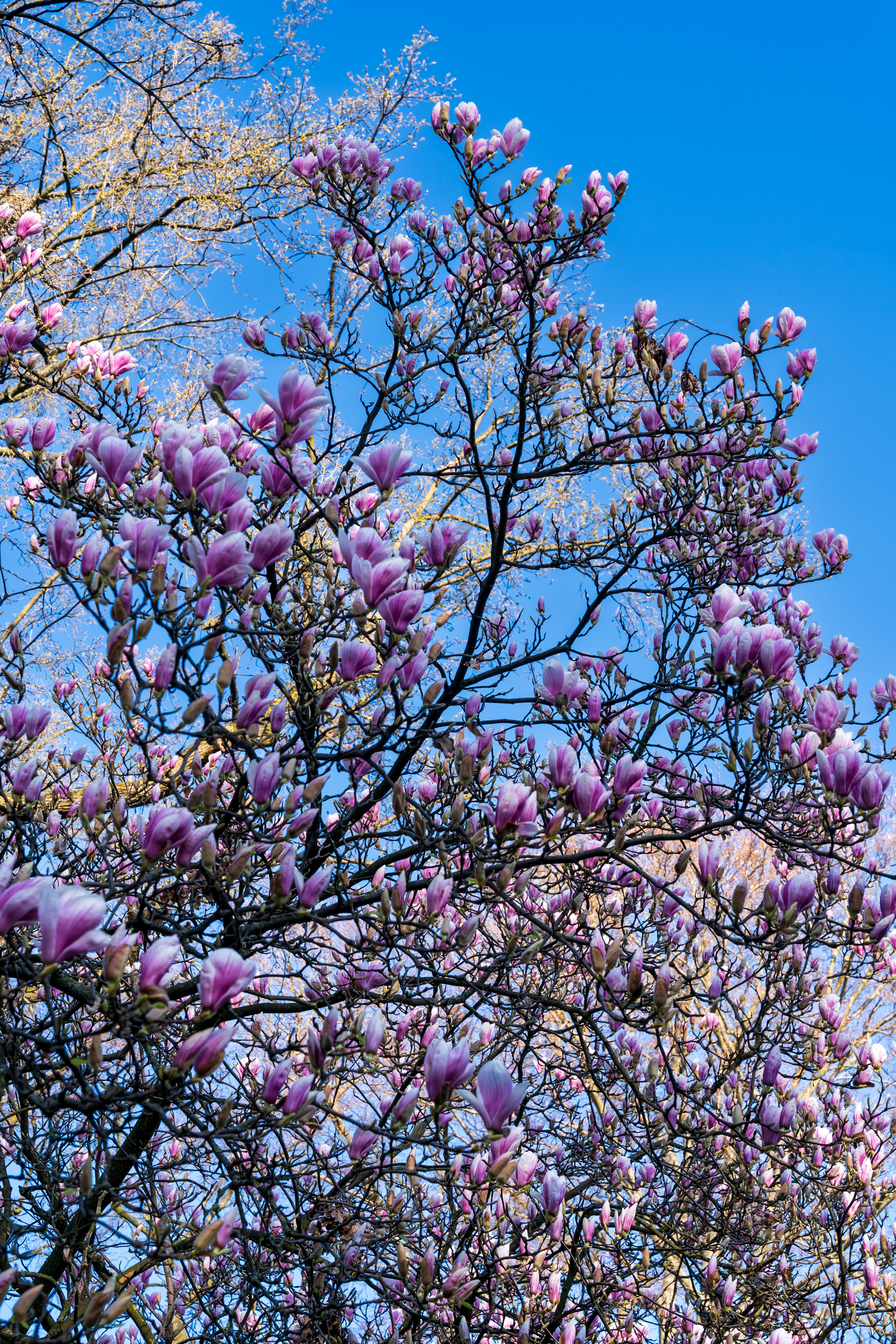 Photo by bangscreative