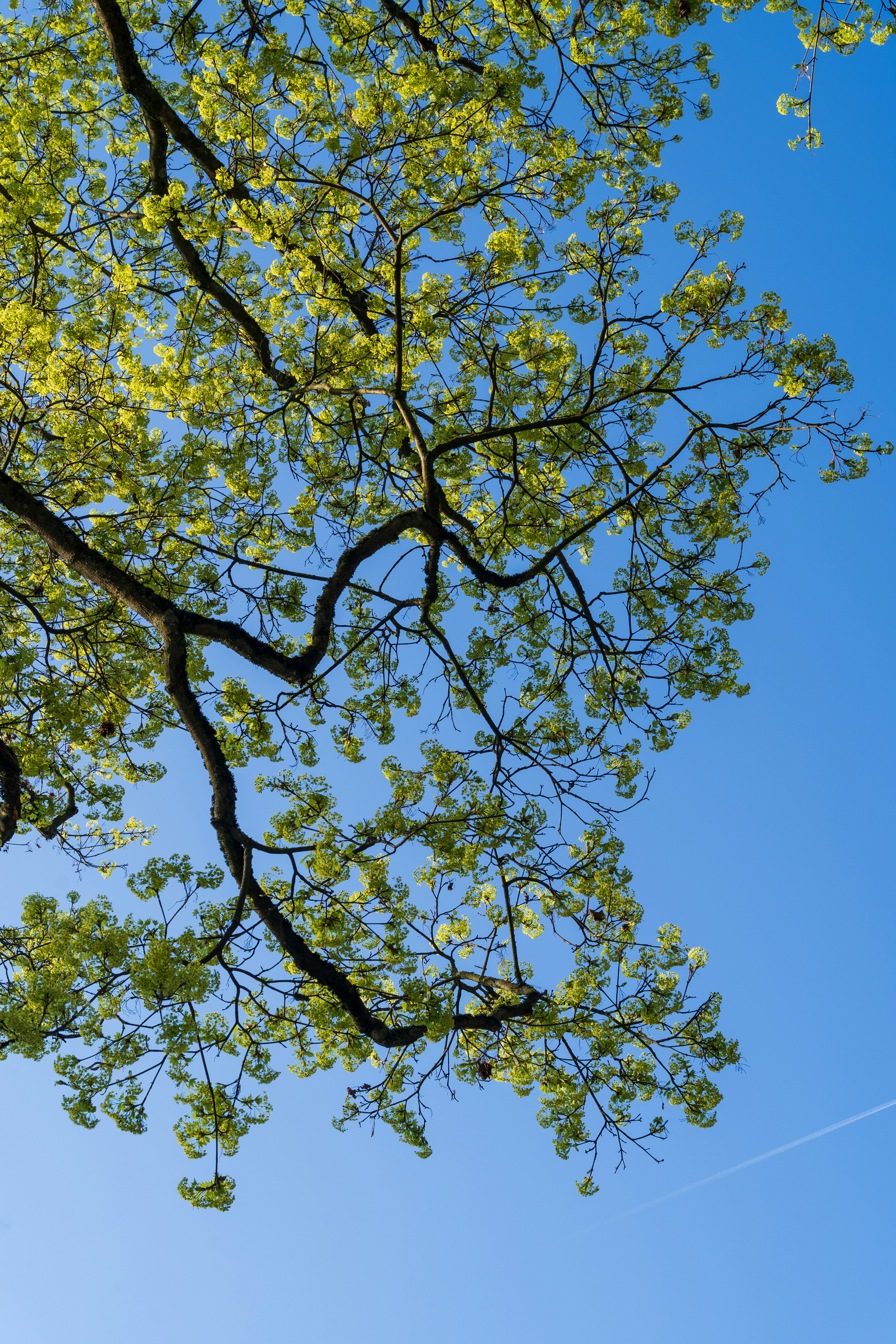 Photo by bangscreative