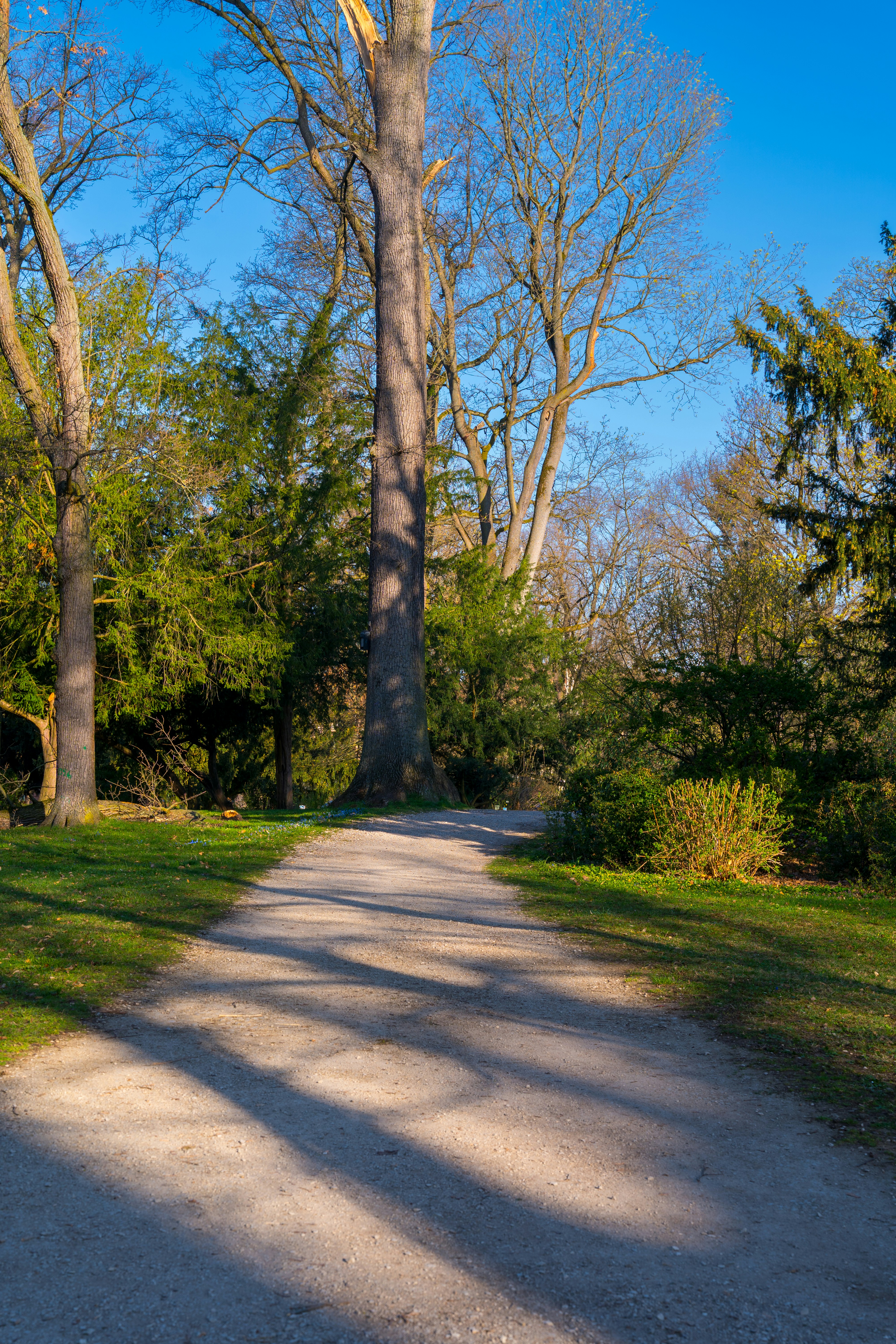 Photo by bangscreative