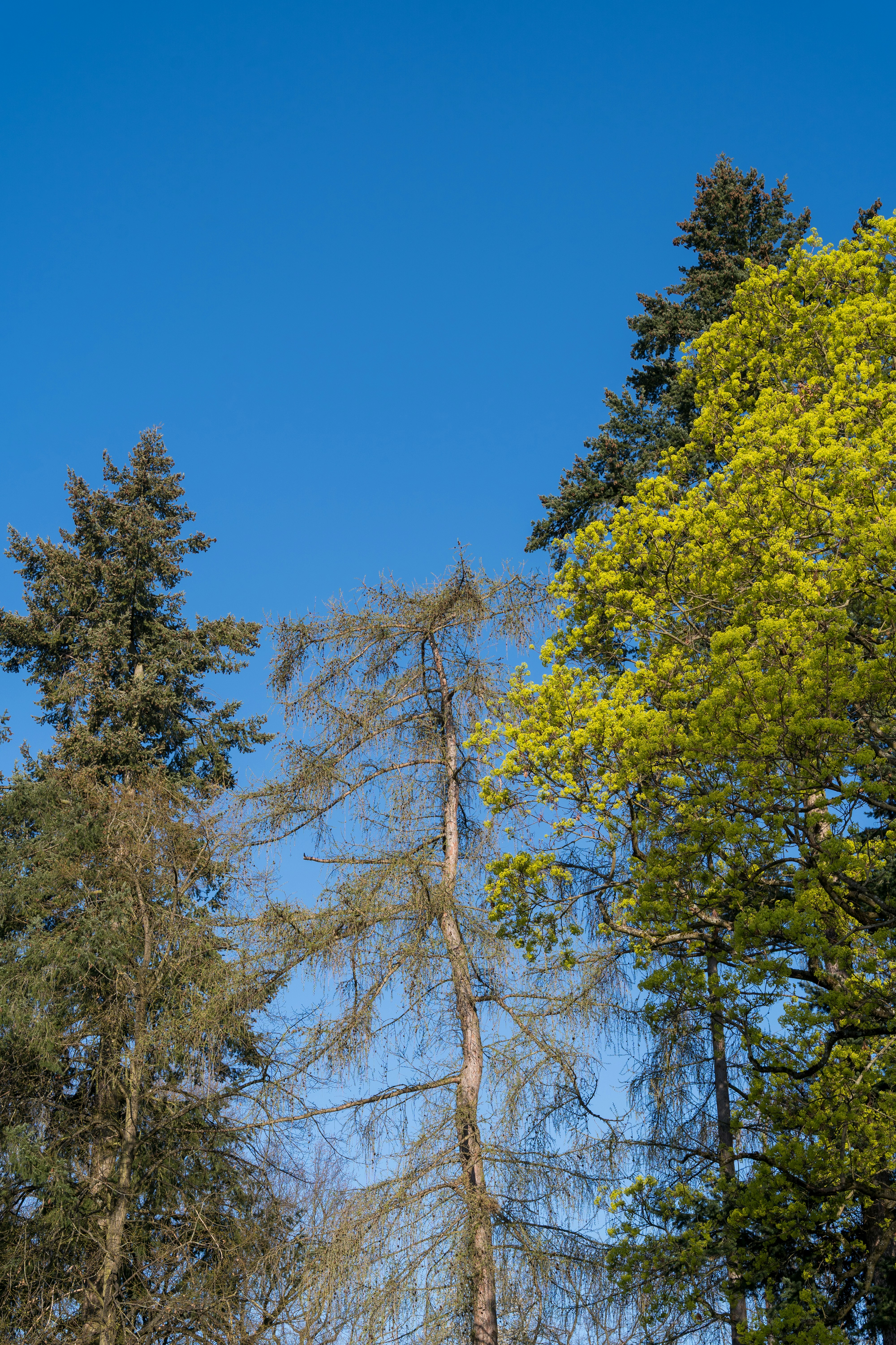 Photo by bangscreative