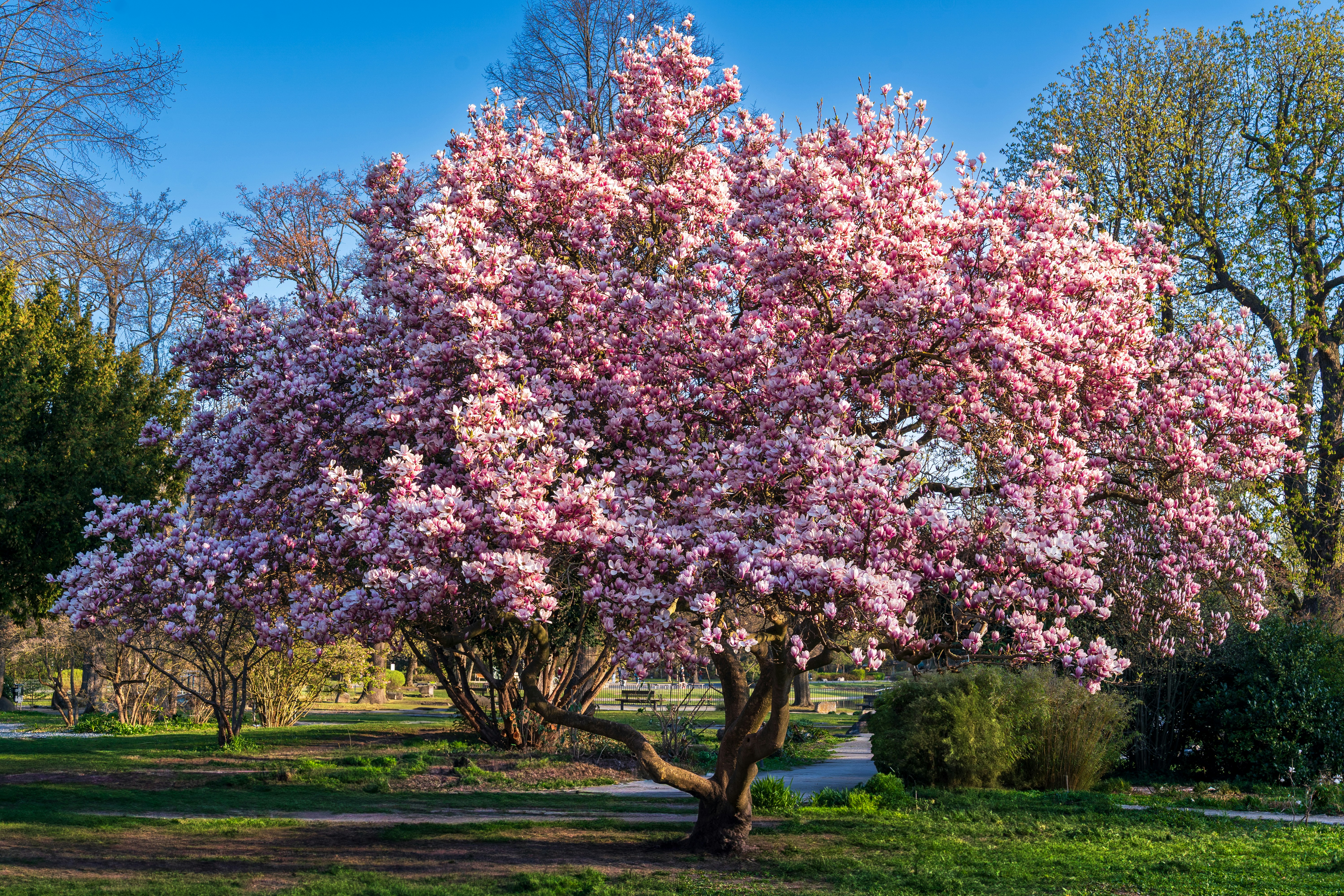 Photo by bangscreative