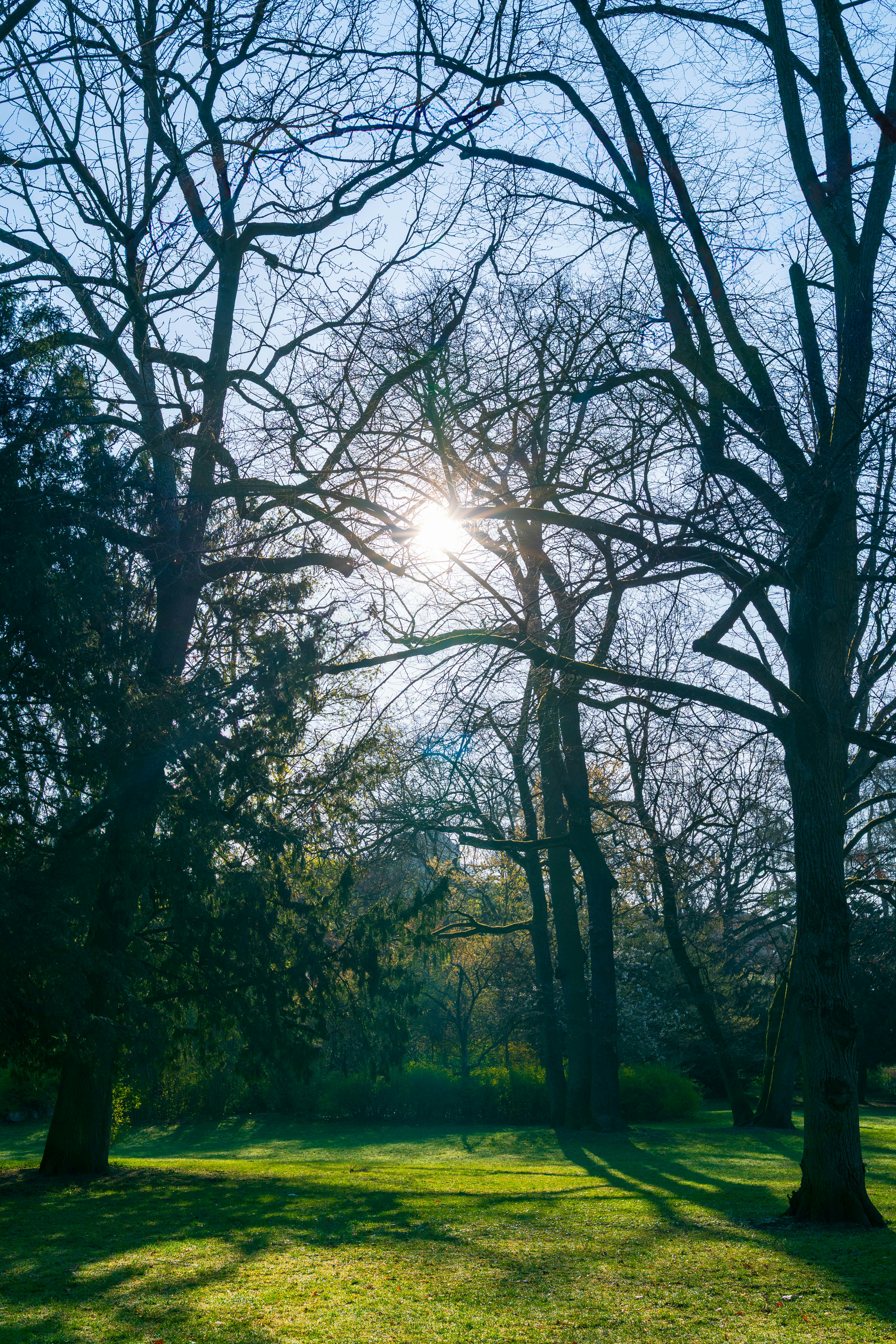 Photo by bangscreative