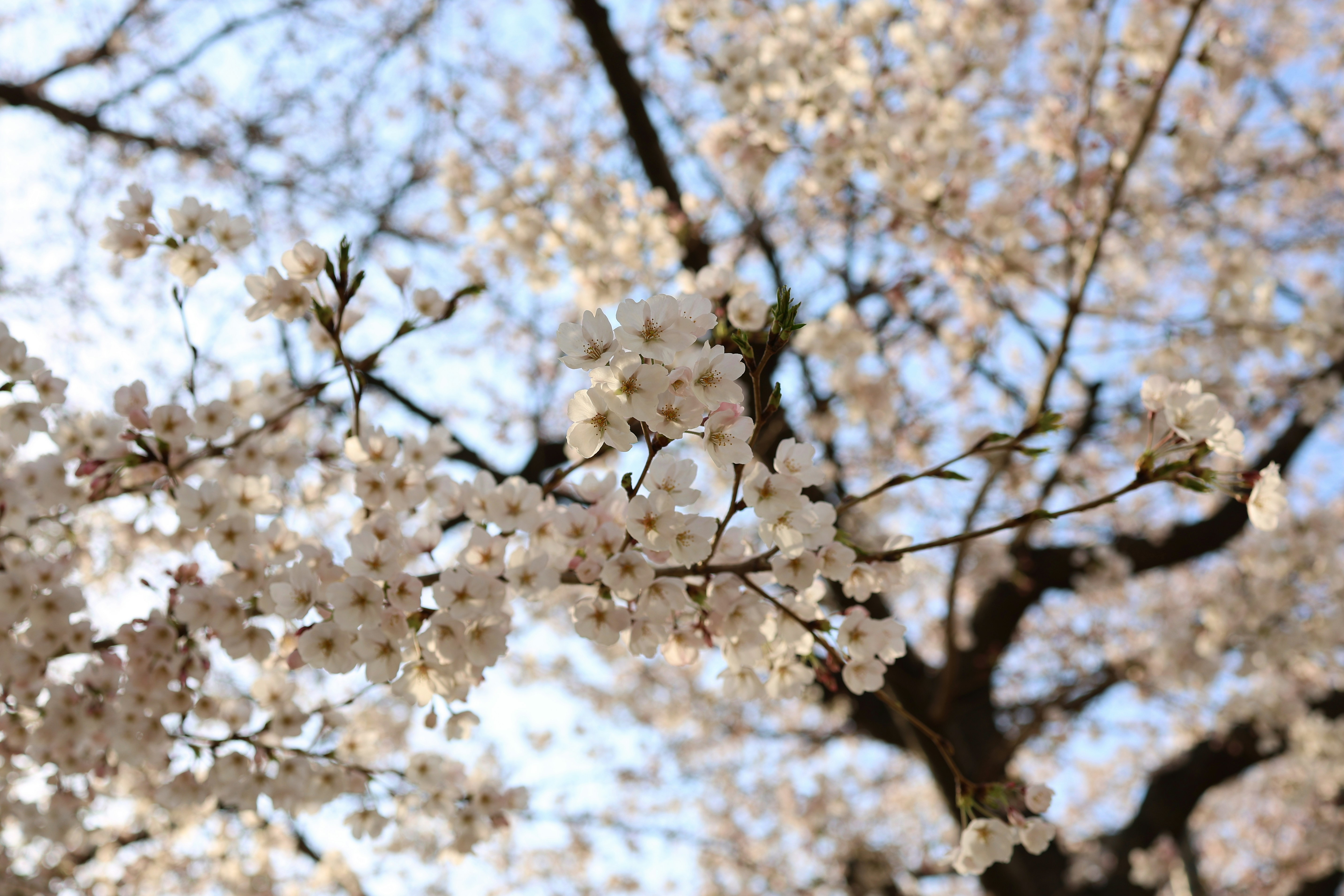 Photo by jayossana