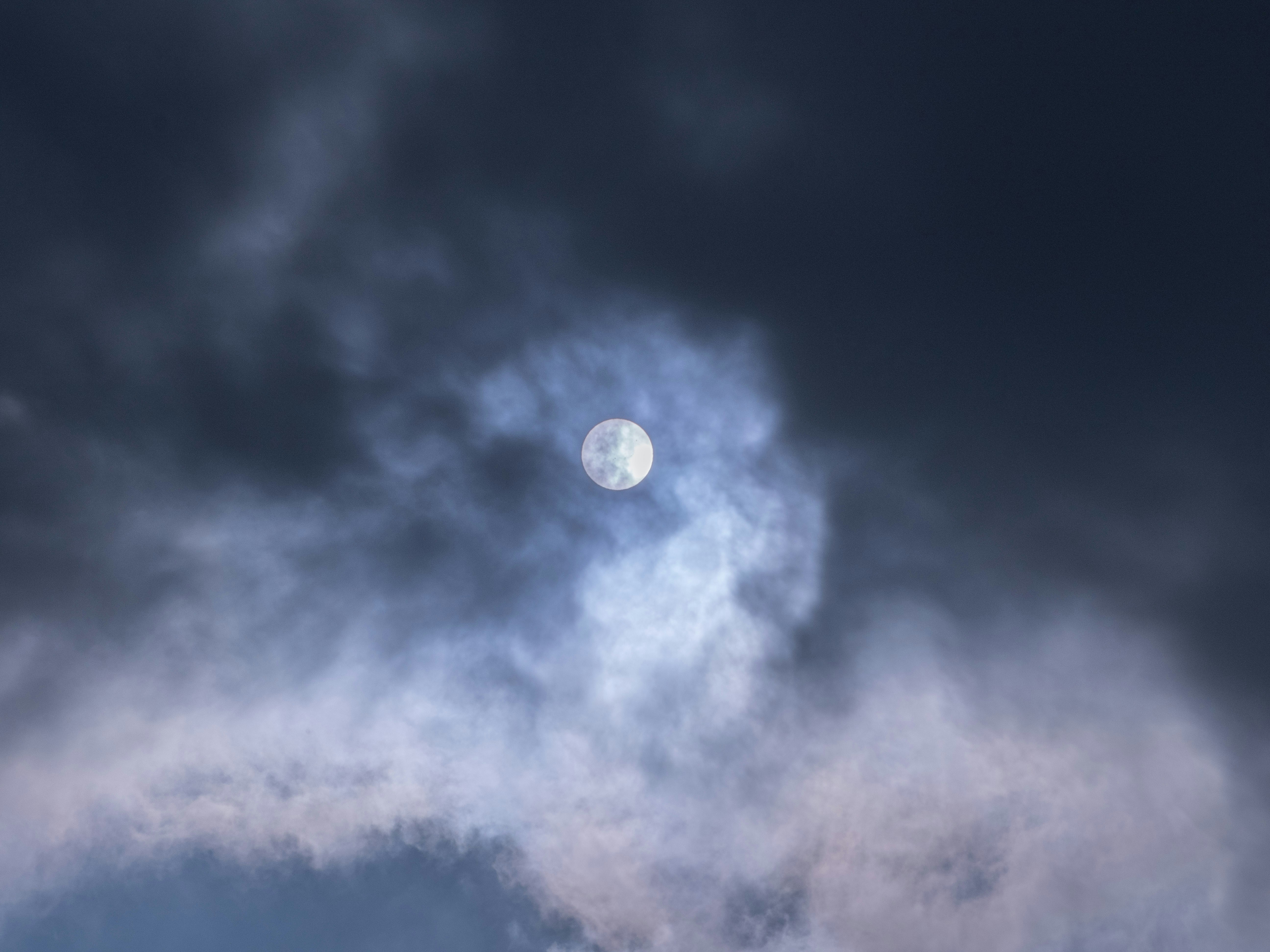 Photo by gopitri_prem