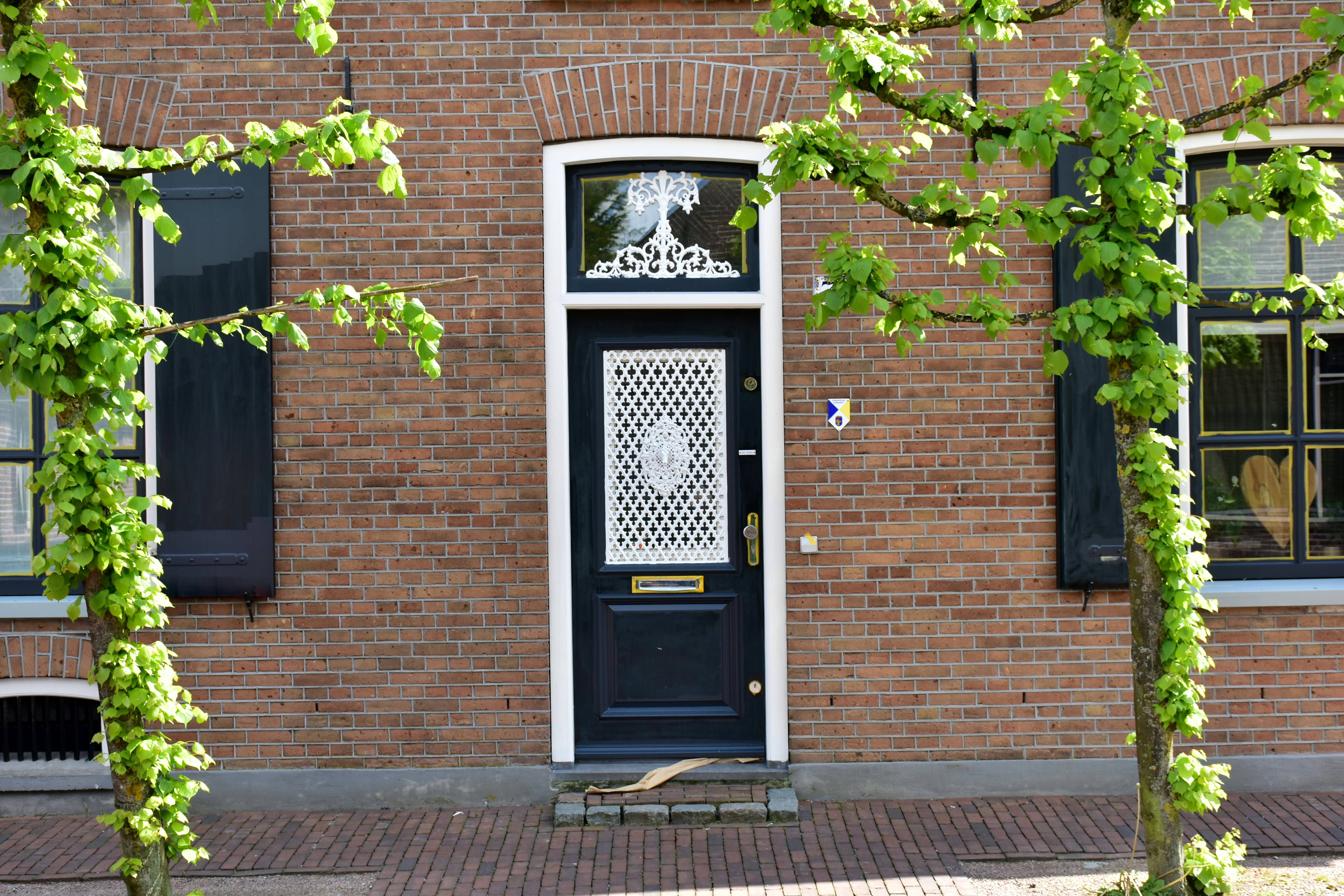 A door with cast iron decoration (Holland - architecture - facade)