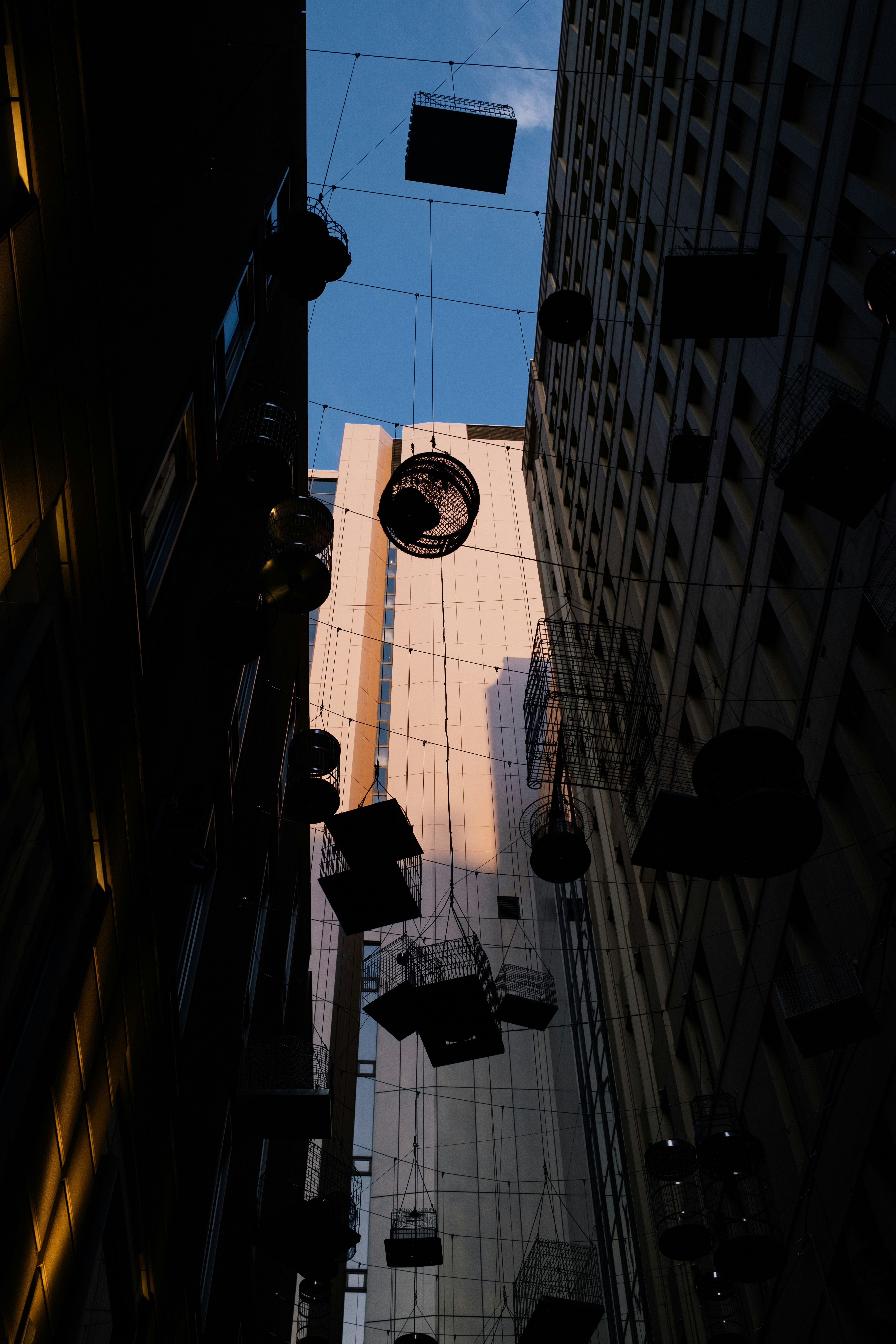 Buildings rise toward a sunny blue sky.