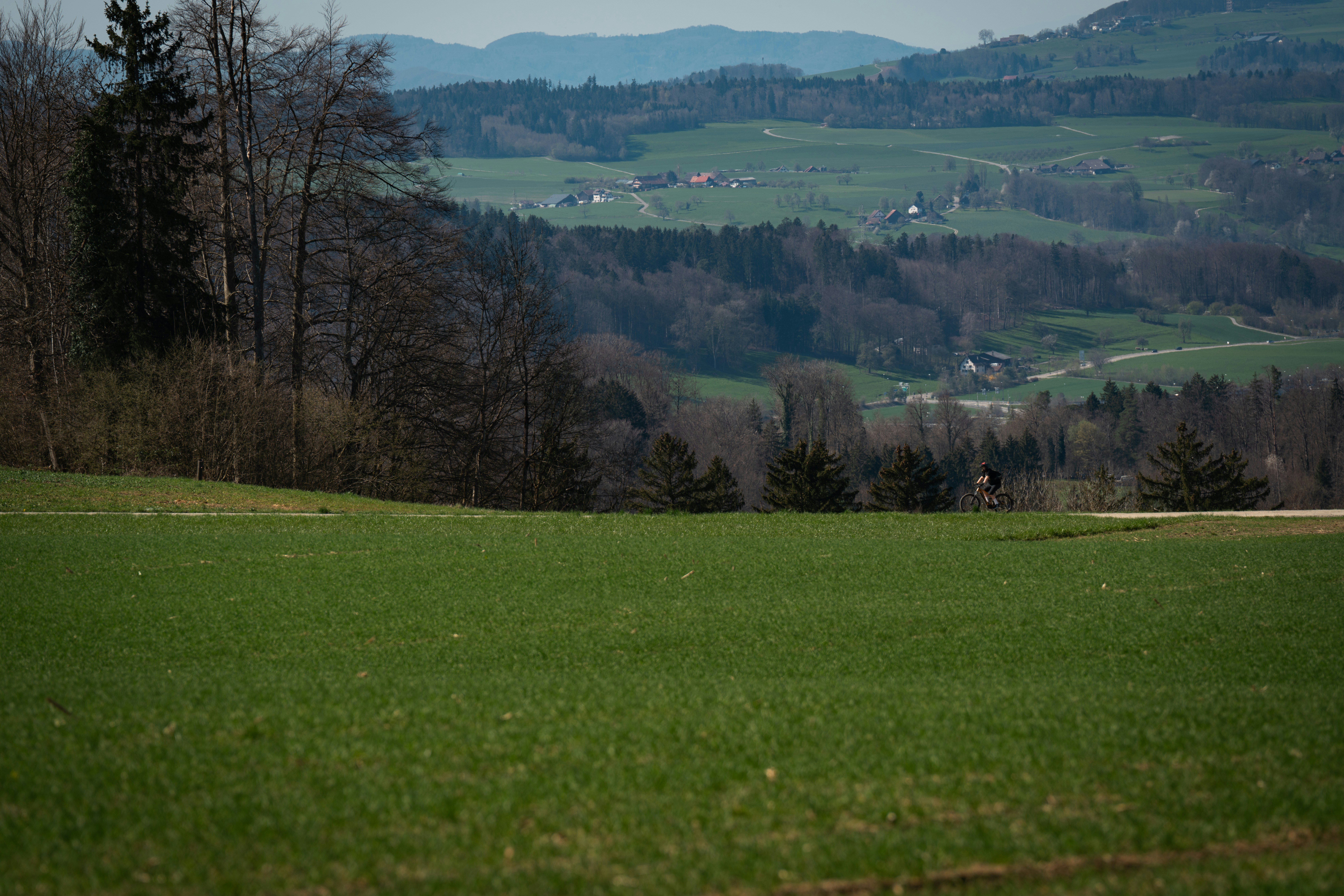Photo by opohmelka