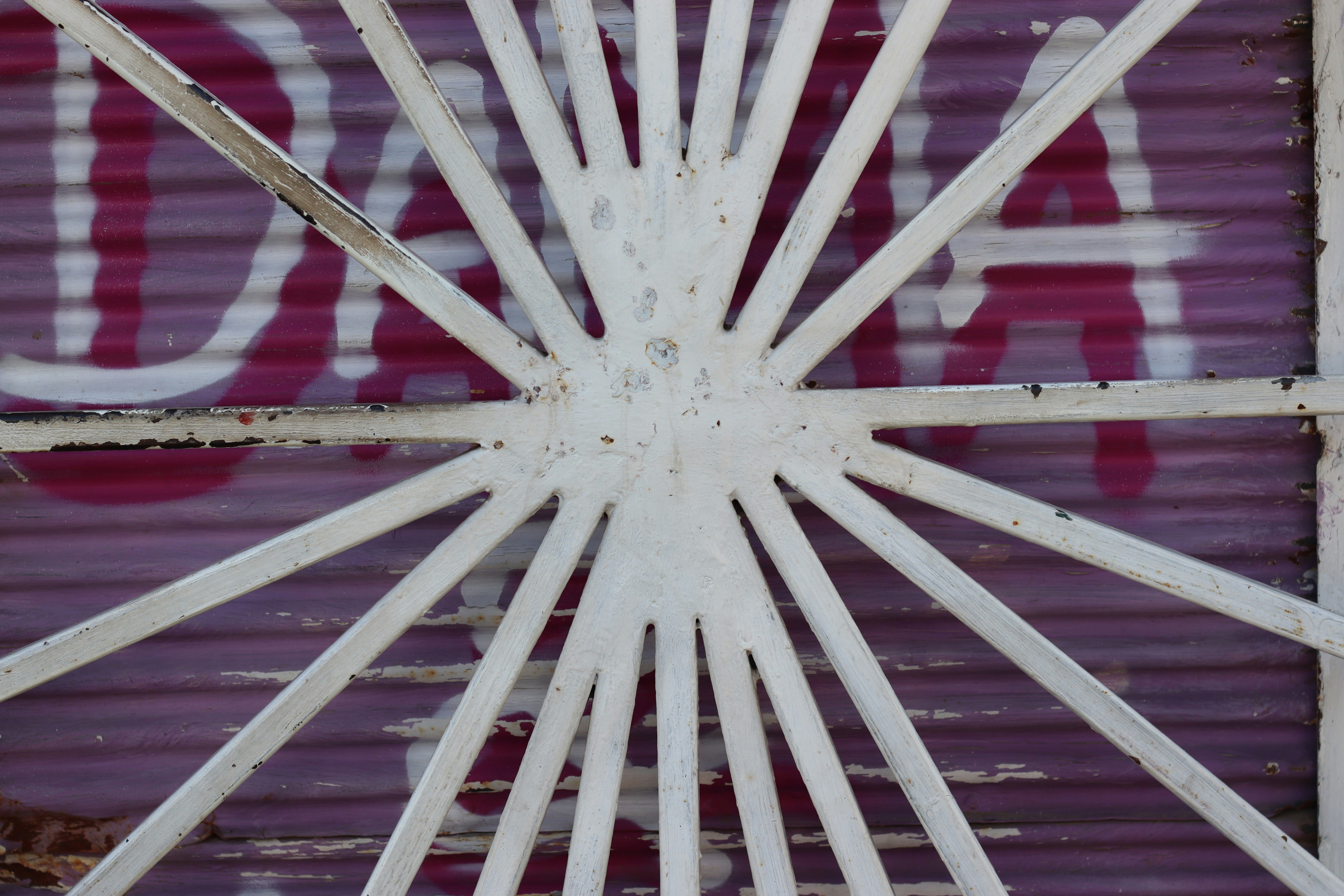 Photo by rodrigotypo