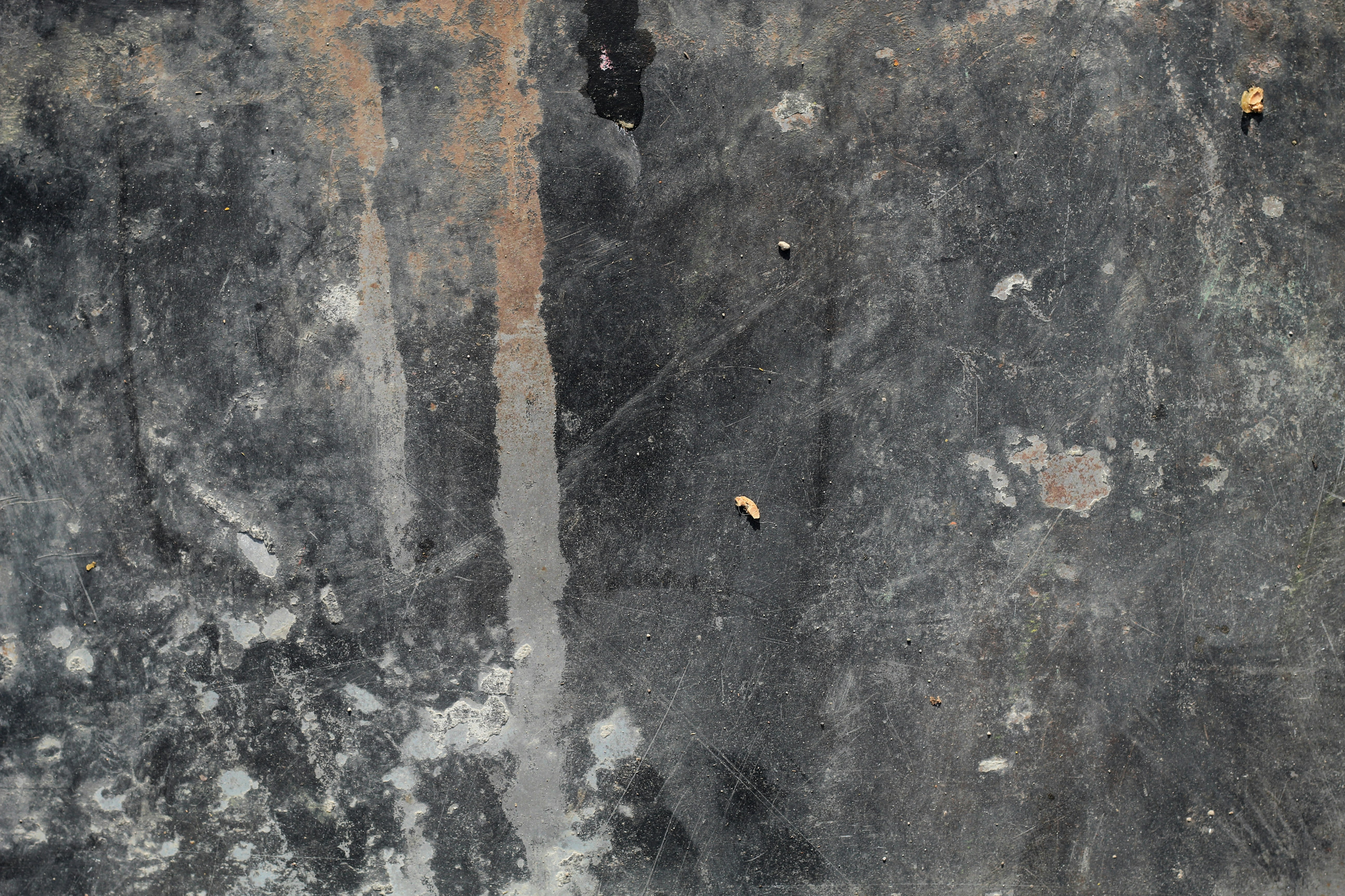 Photo by rodrigotypo