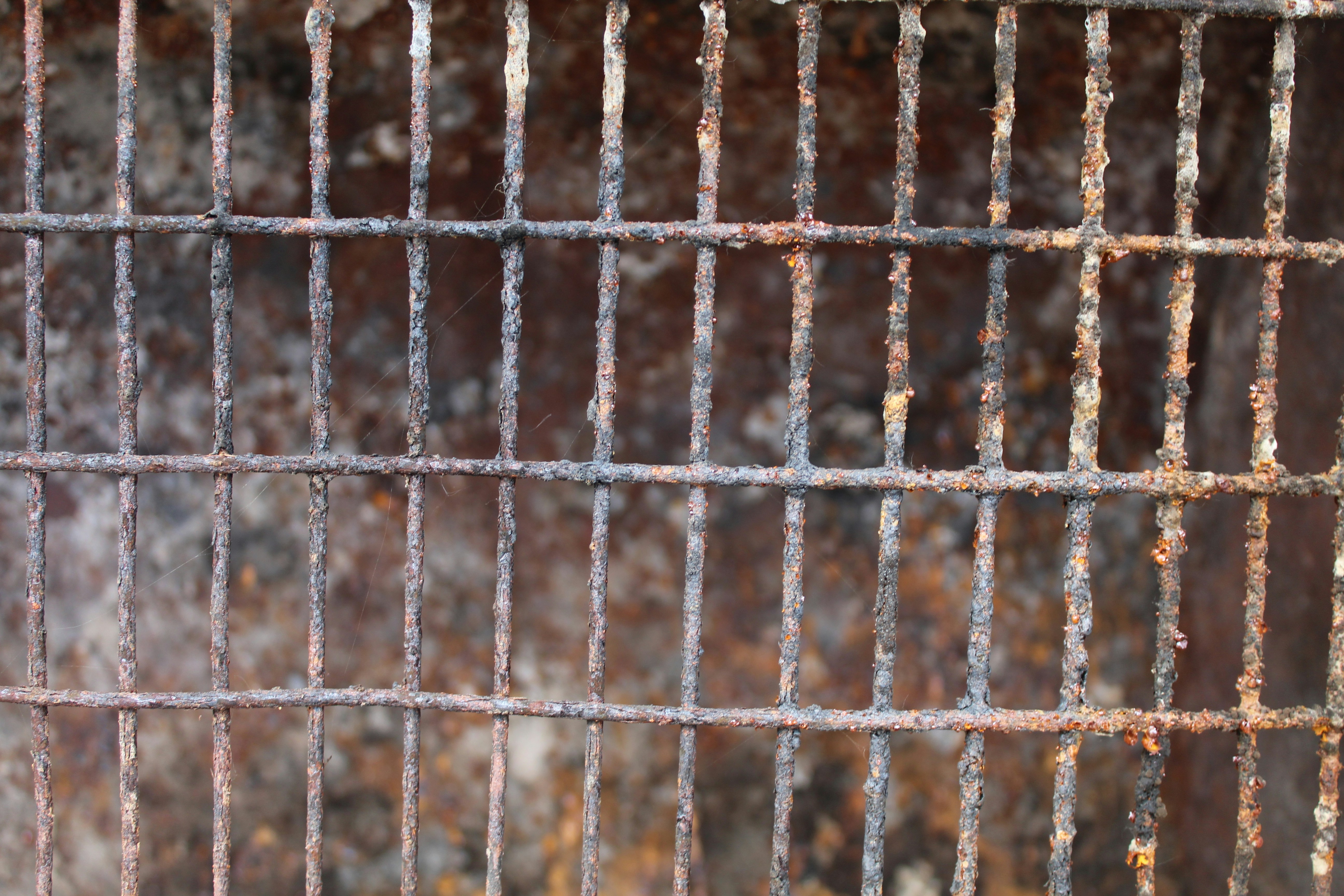 Photo by rodrigotypo