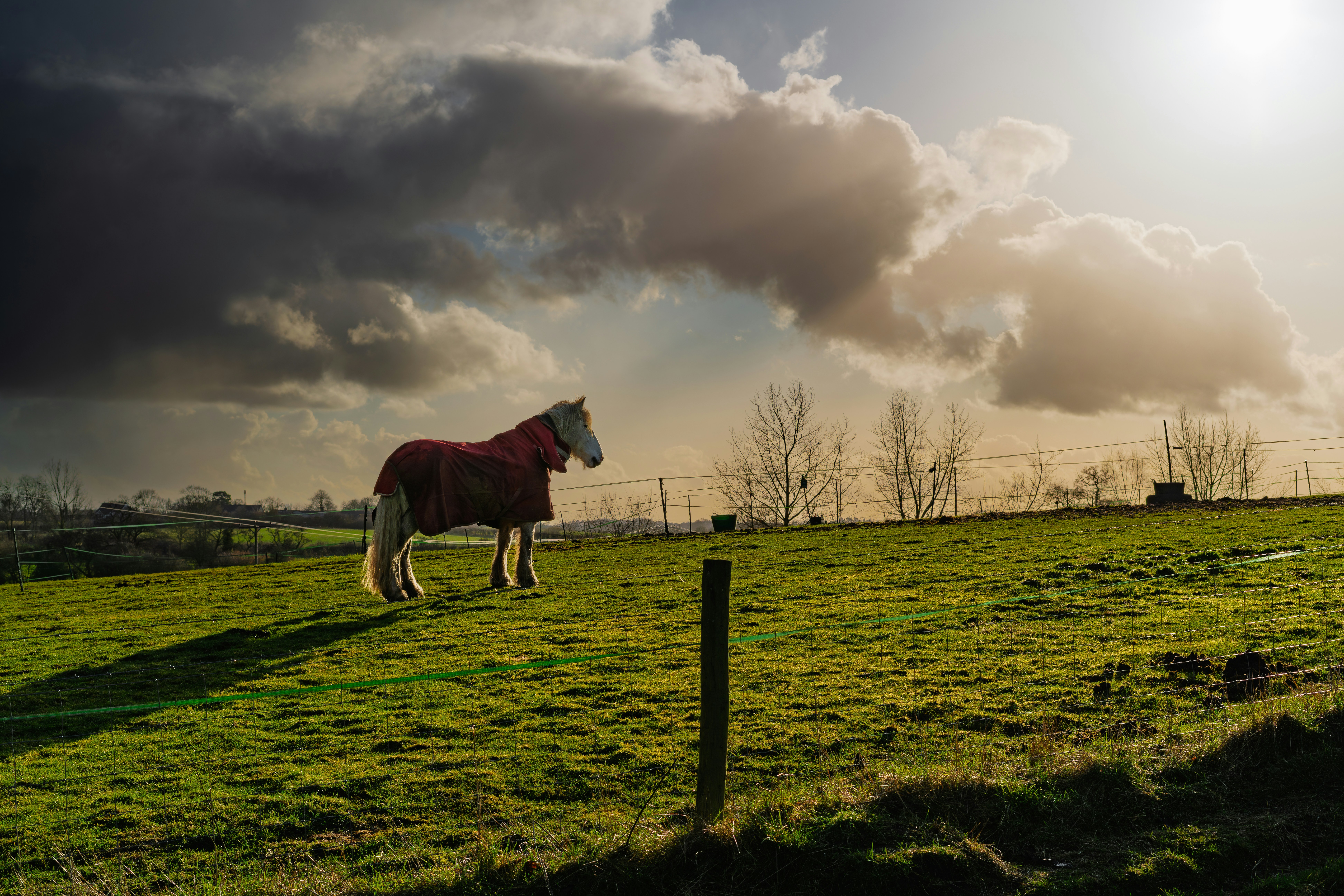 Photo by videcormeum