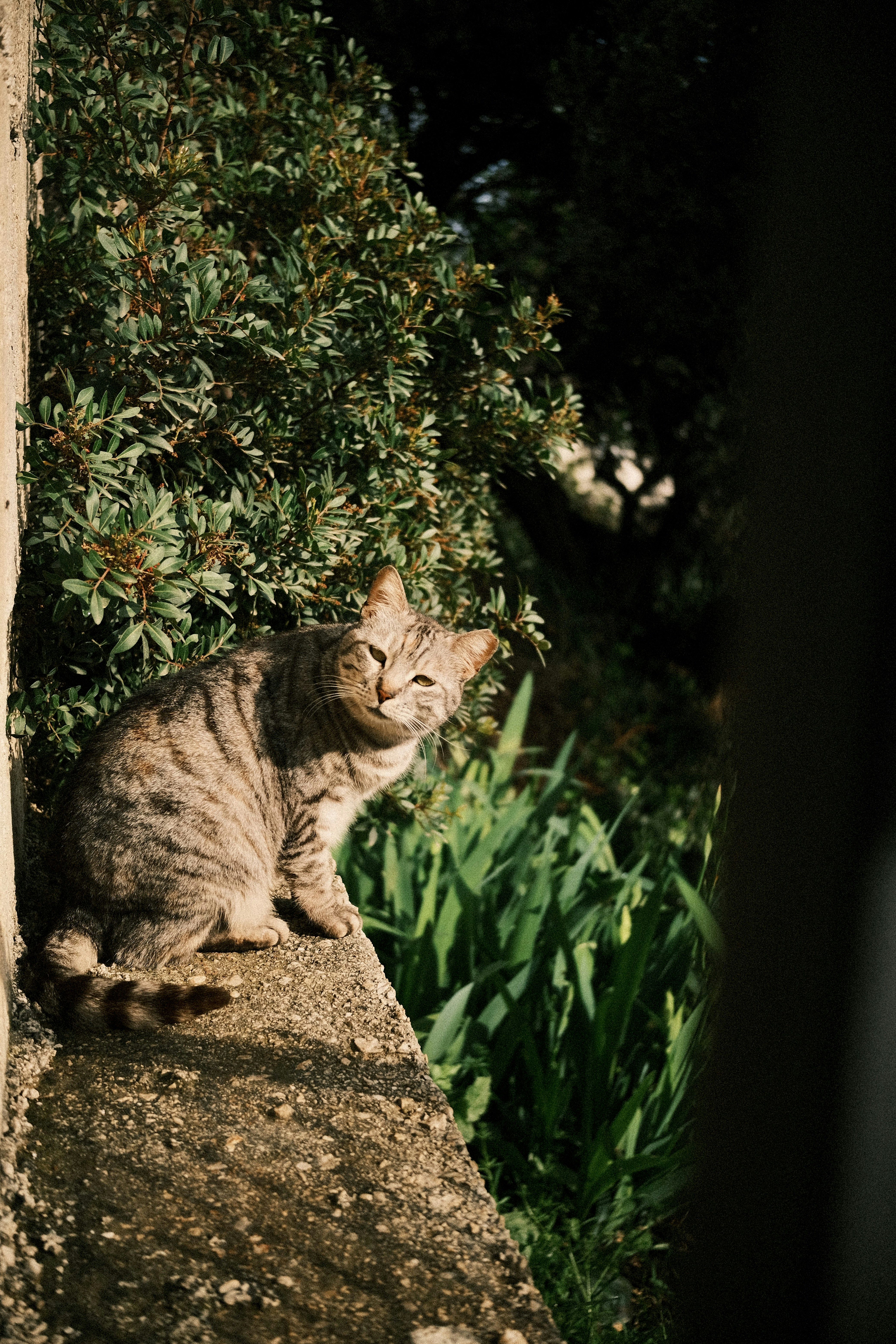 Photo by niklasjesper