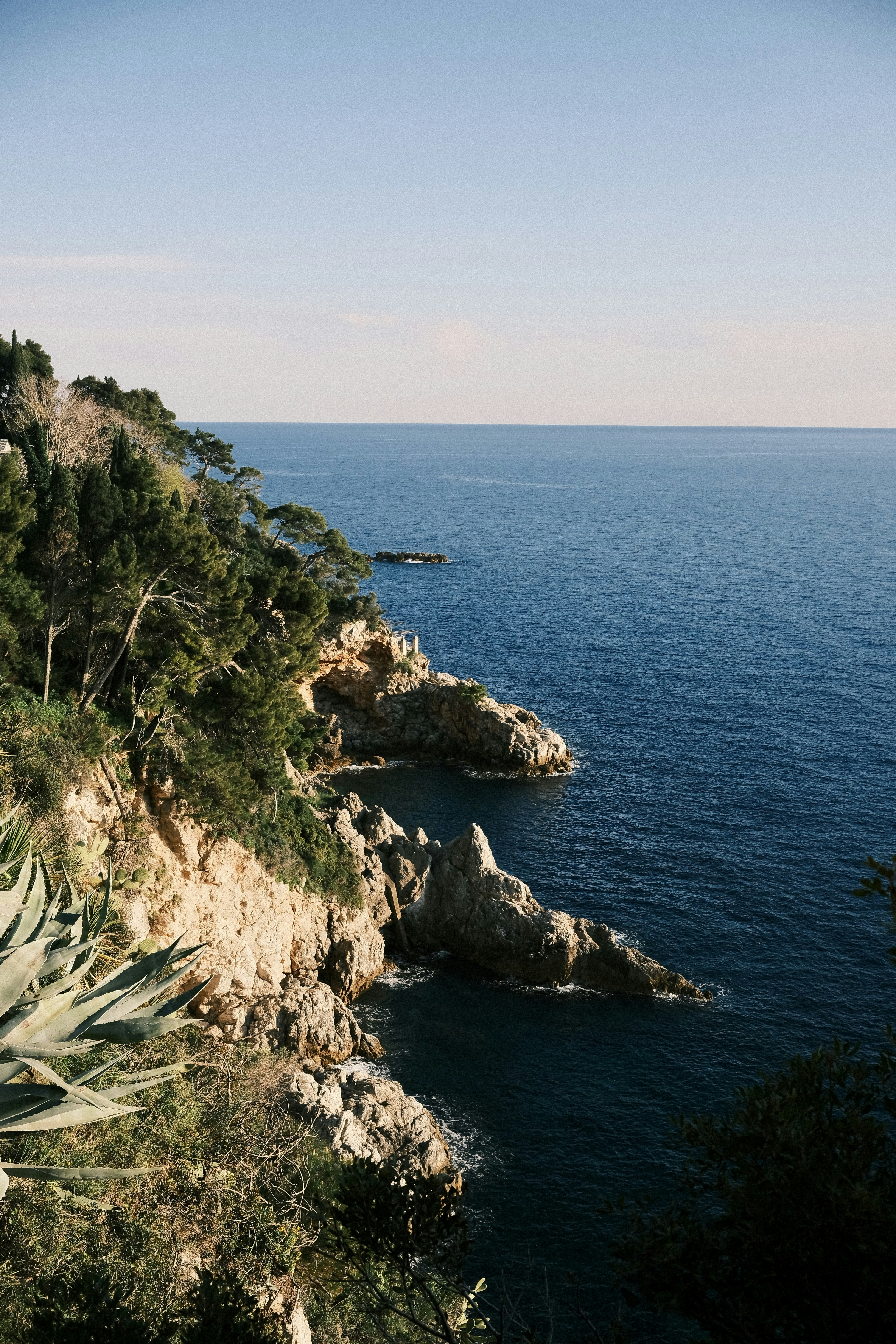 Photo by niklasjesper