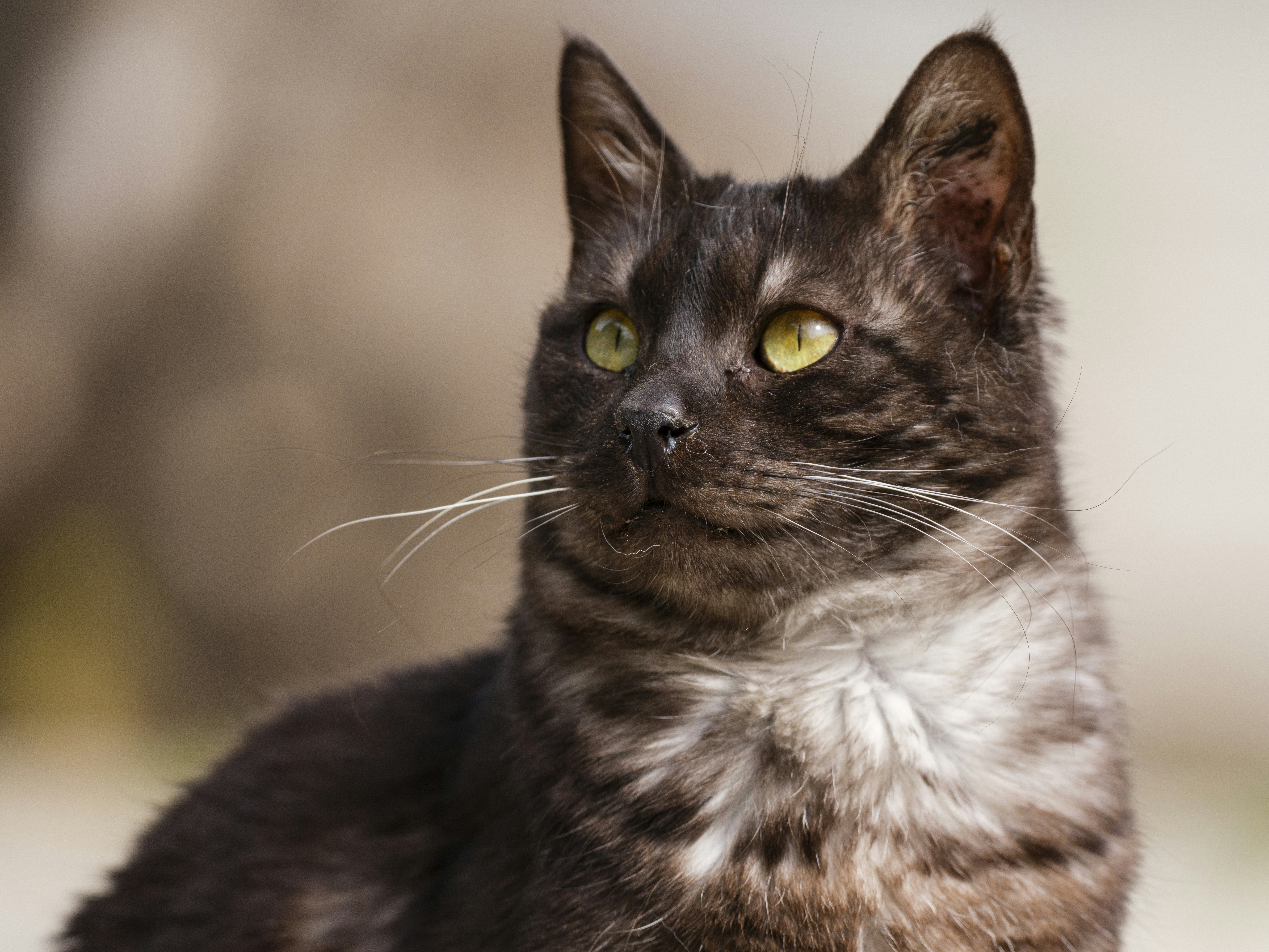 Photo by enginakyurt