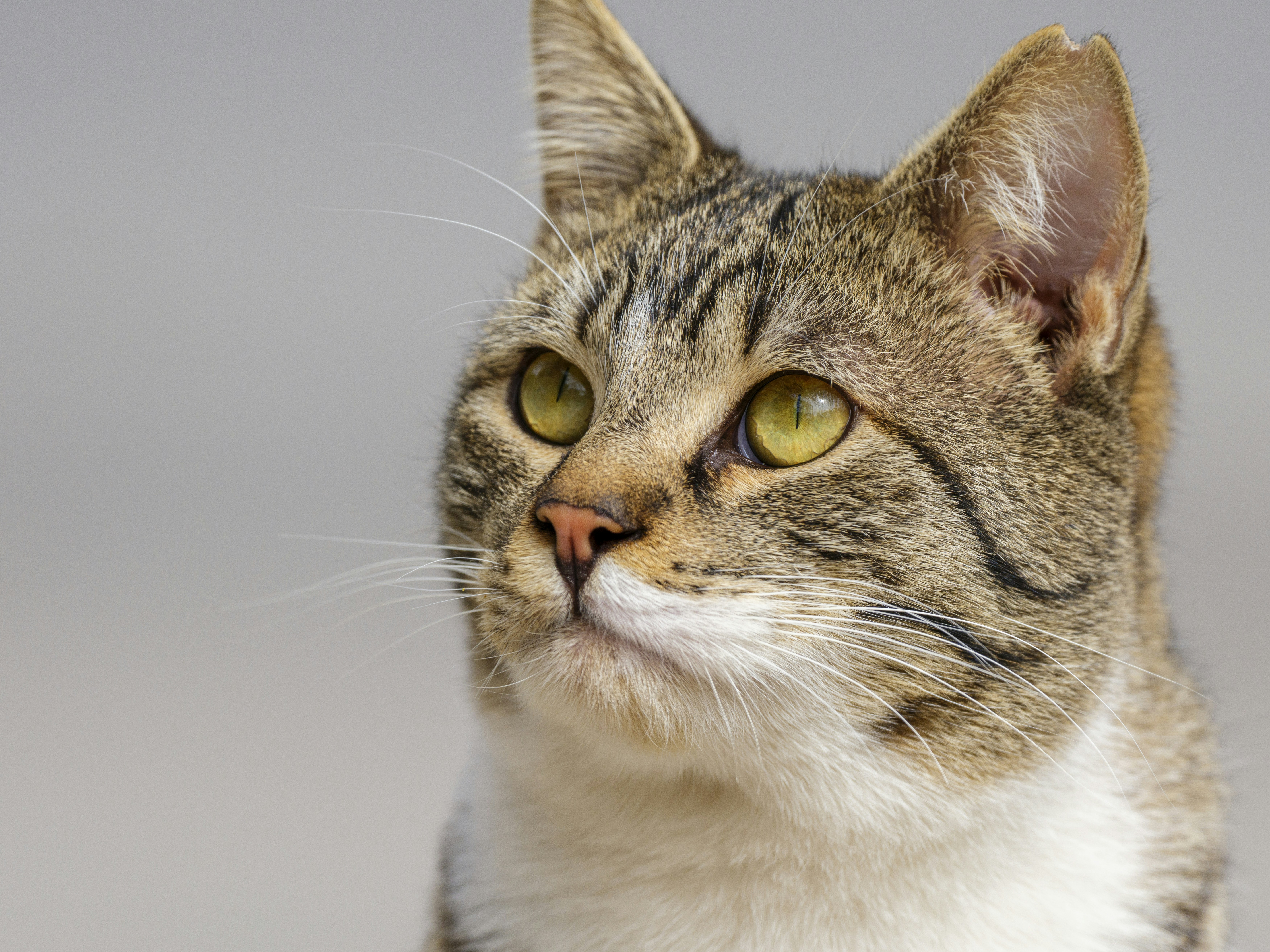 Photo by enginakyurt