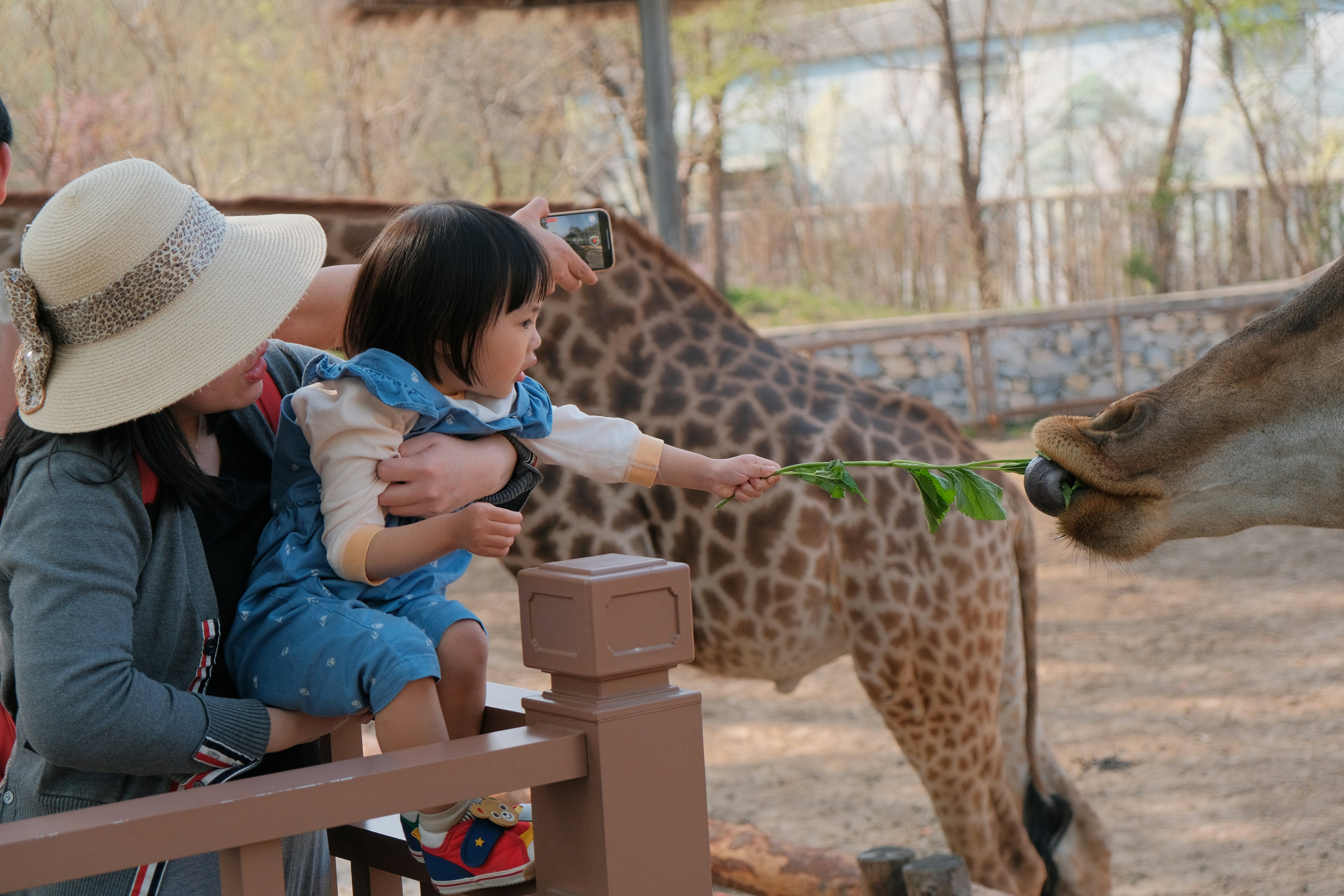 The Ultimate Family Zoo Day Checklist: What to Pack