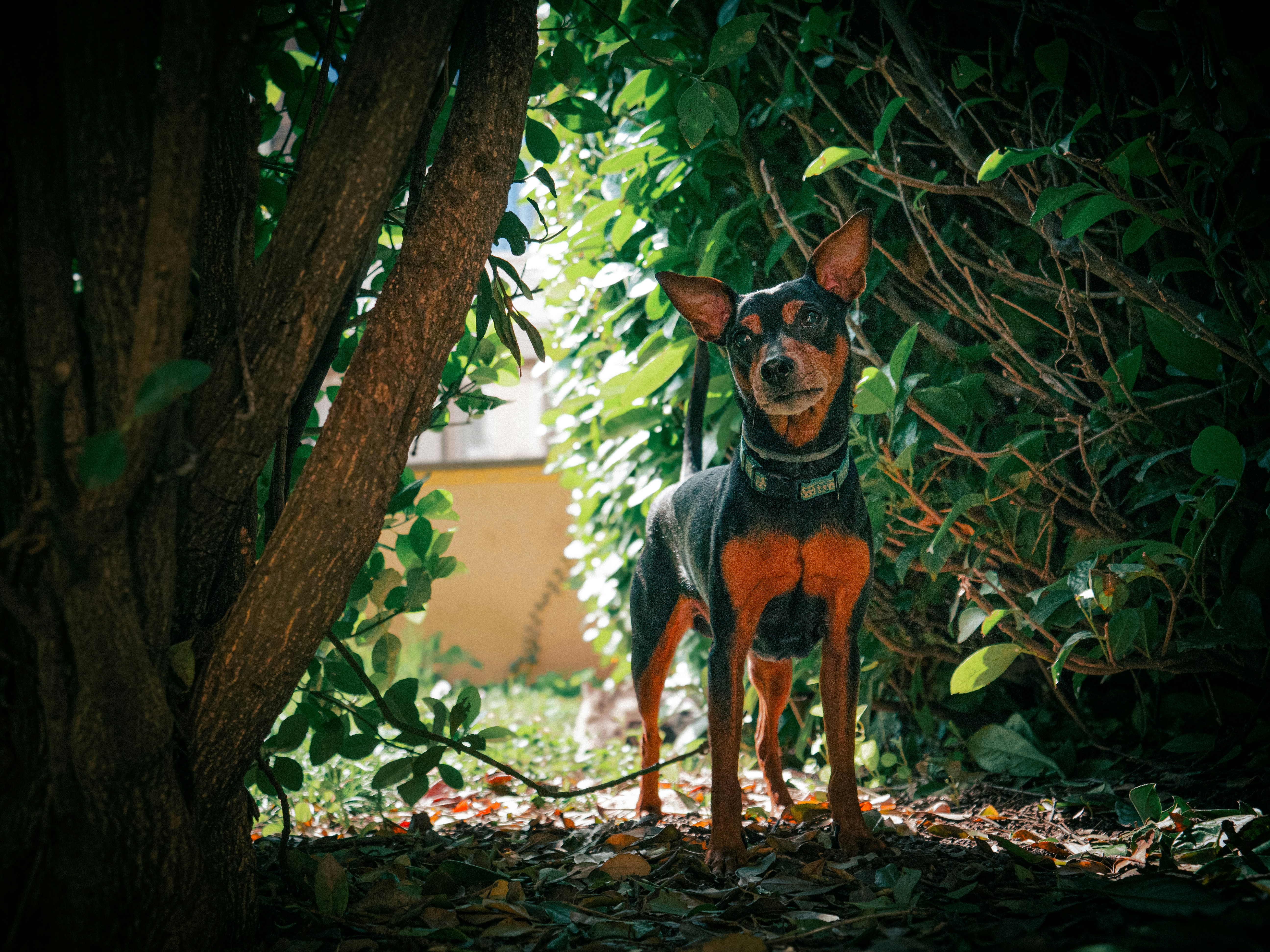 Photo by eliamassignan