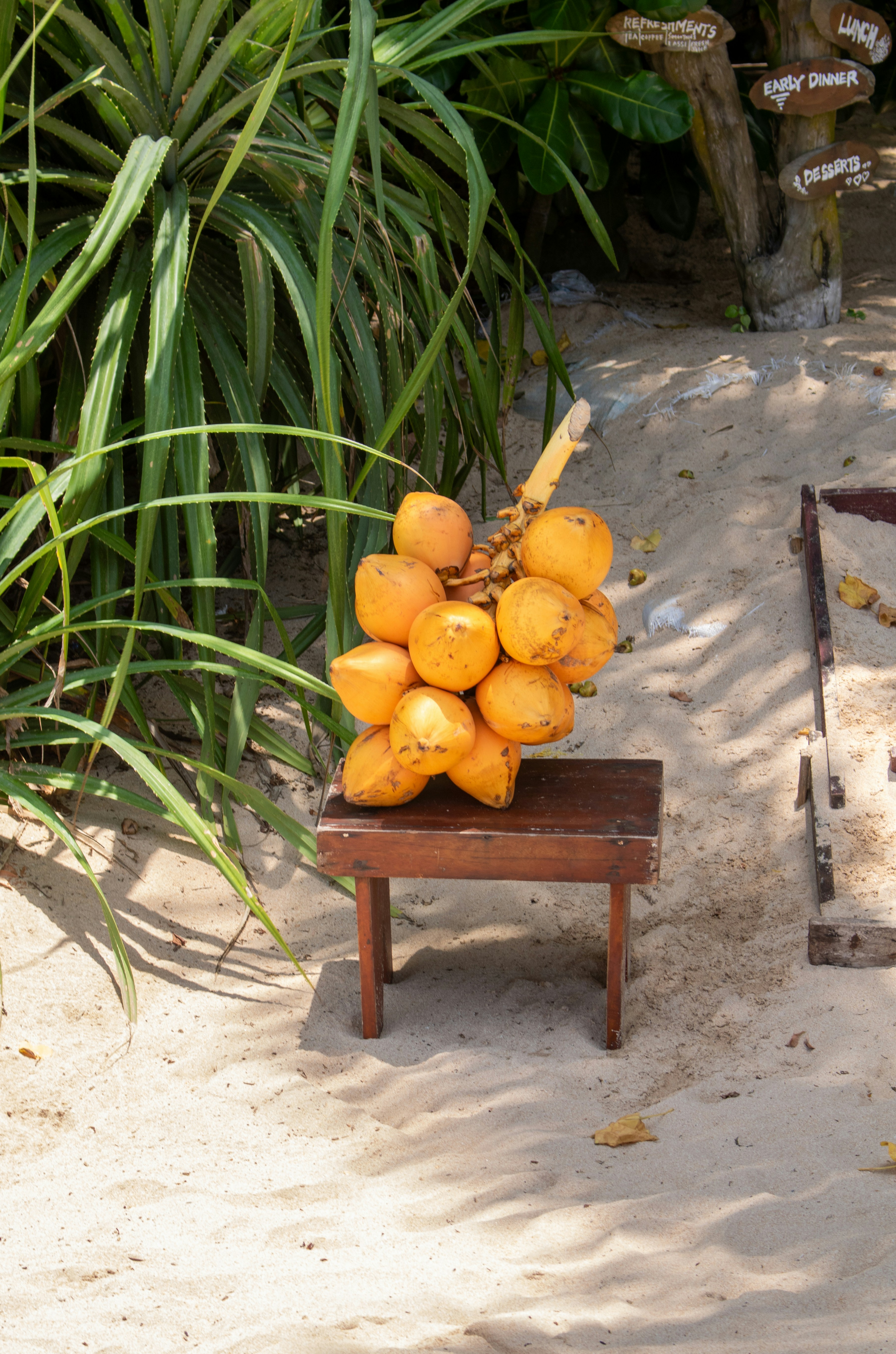 Ripe coconuts rest on a small table.