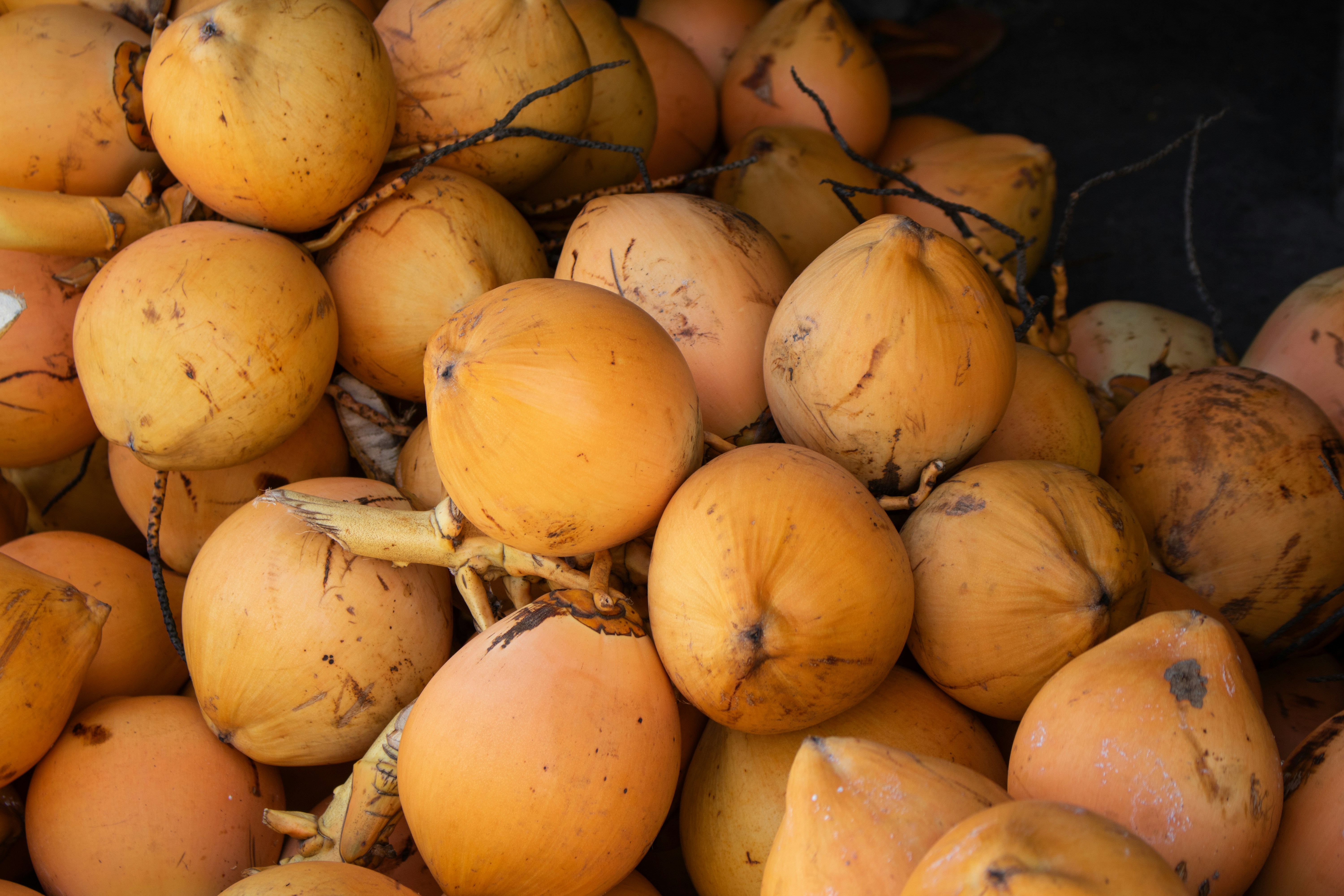 Photo by zoshuacolah